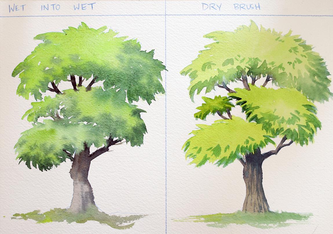 Draw & Paint TREES Indepth Explanation with Watercolor, Gouache
