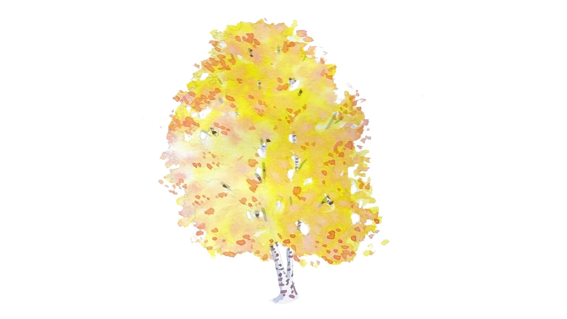 How to Paint Trees in Watercolor An Introduction to Color Mixing and Painting for Beginners
