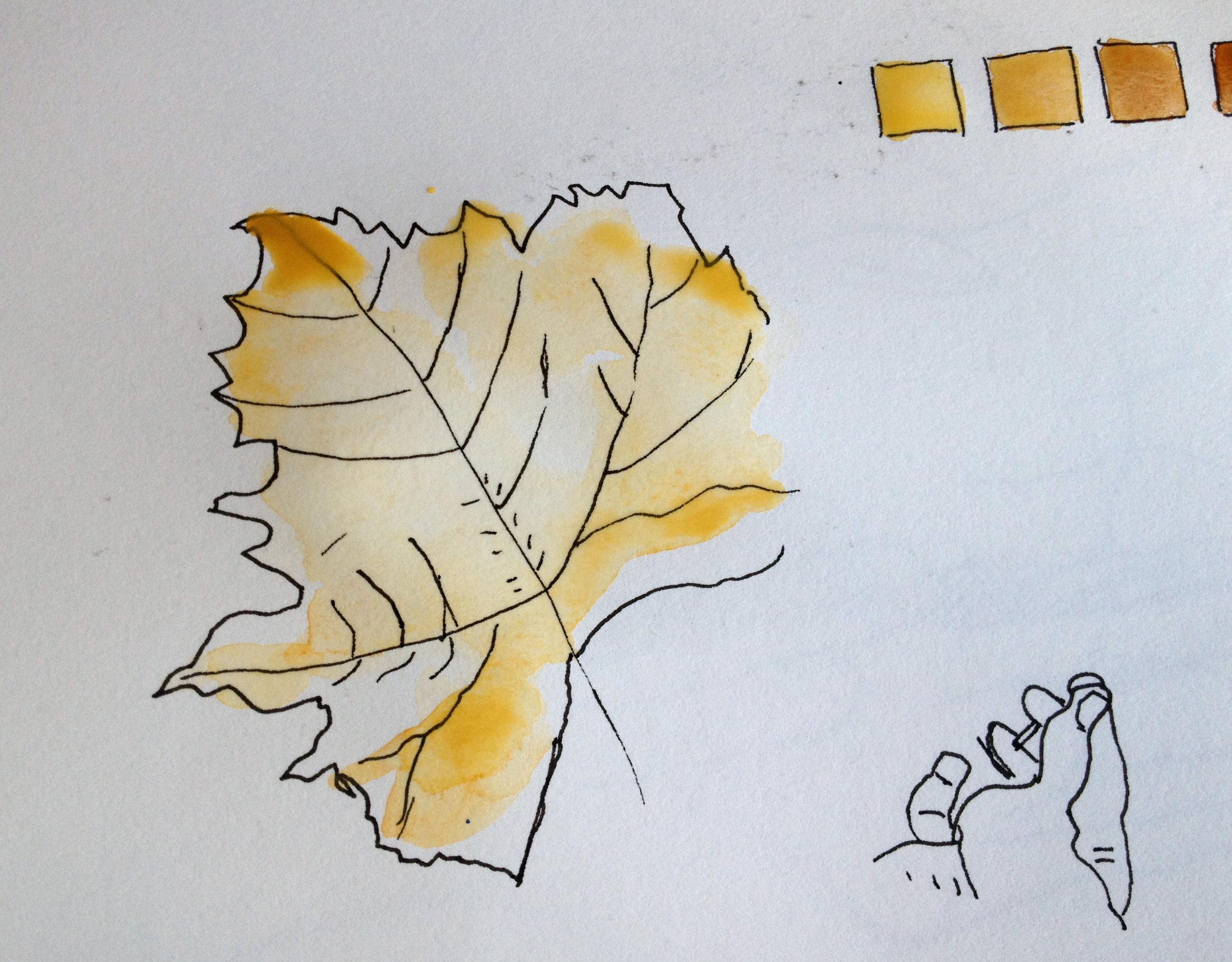 How to Create Depth in Watercolor Painting Skillshare