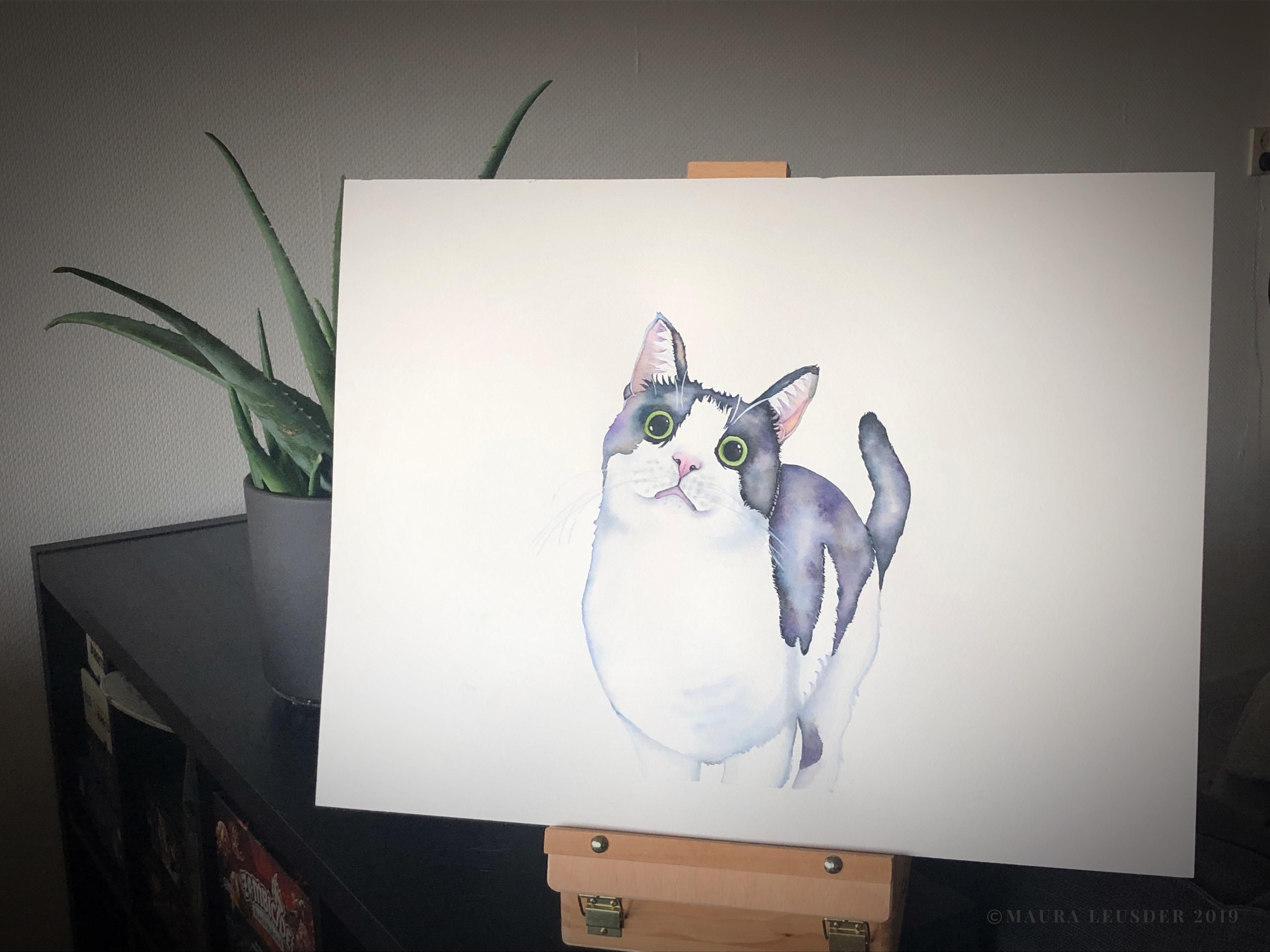 Ready, Wet, Paint! Learn to paint a Black and White Cat in Watercolour