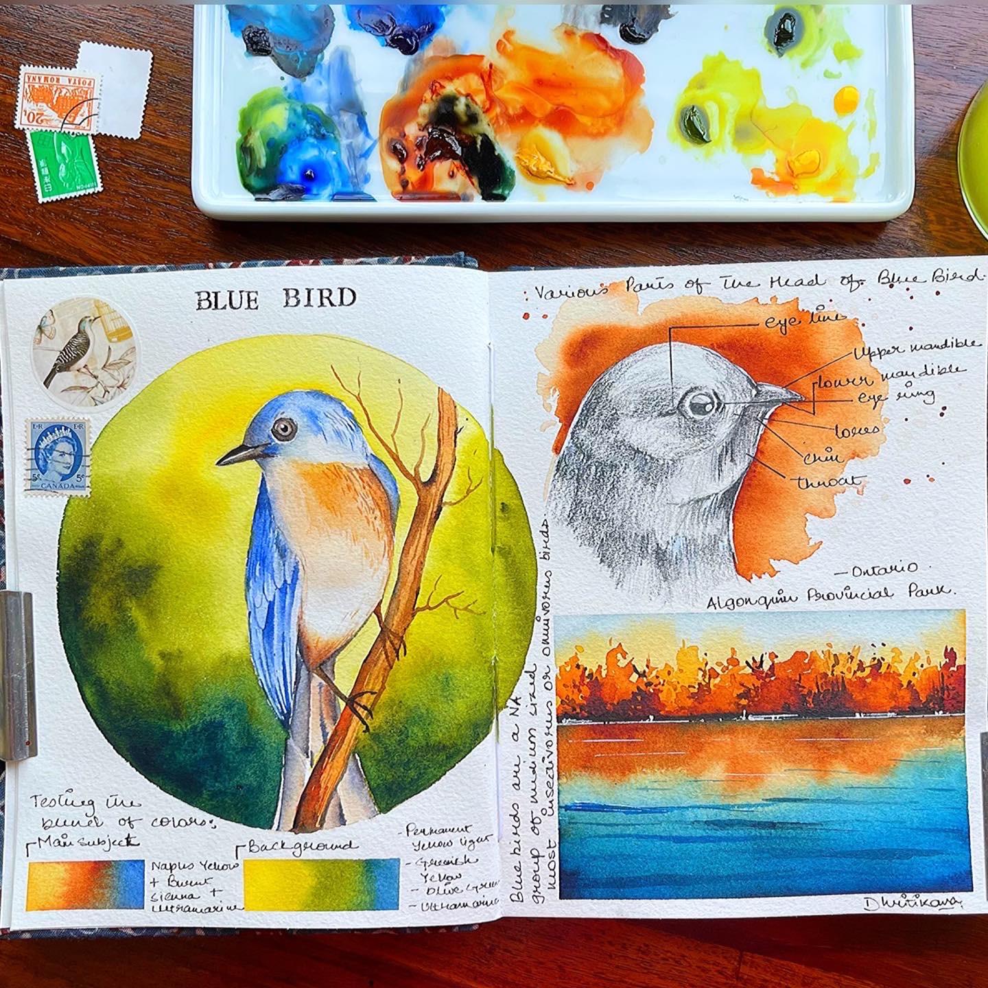 My encounter with Sketchbook A Quick Guide to Sketchbook Practice