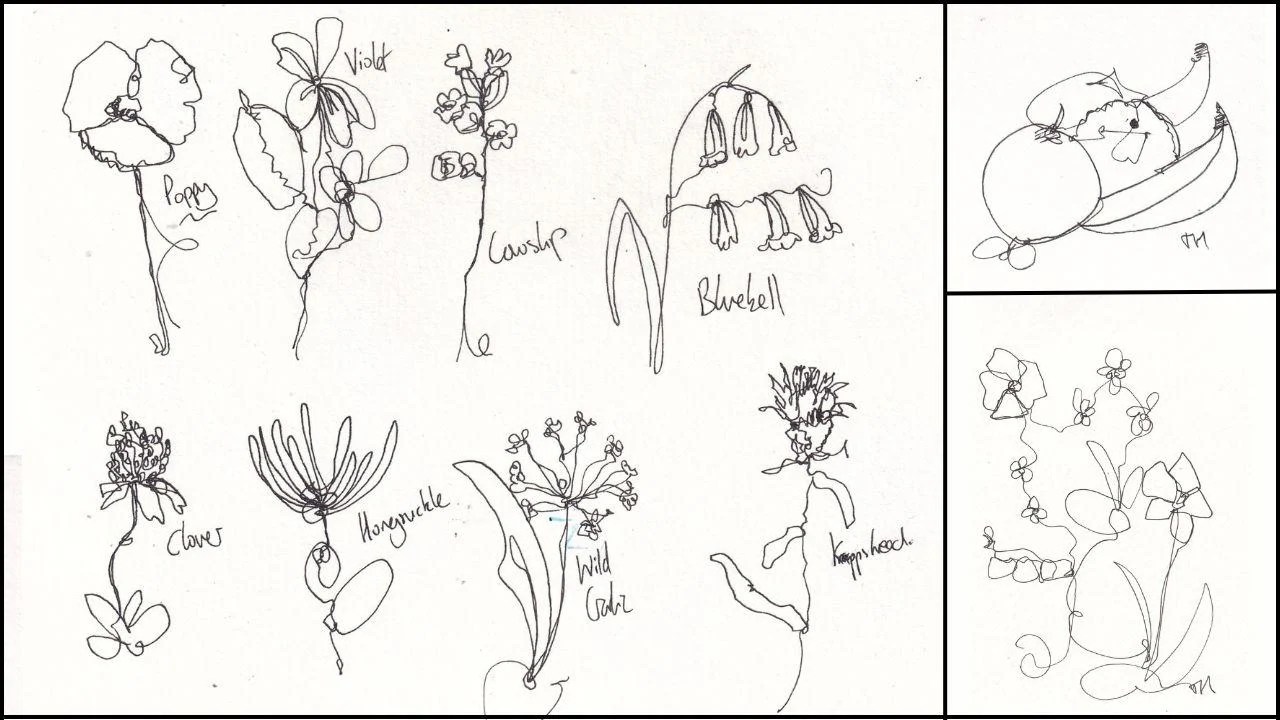 Learn to Draw Flowers The Art of OneLine Floral Doodling Toby