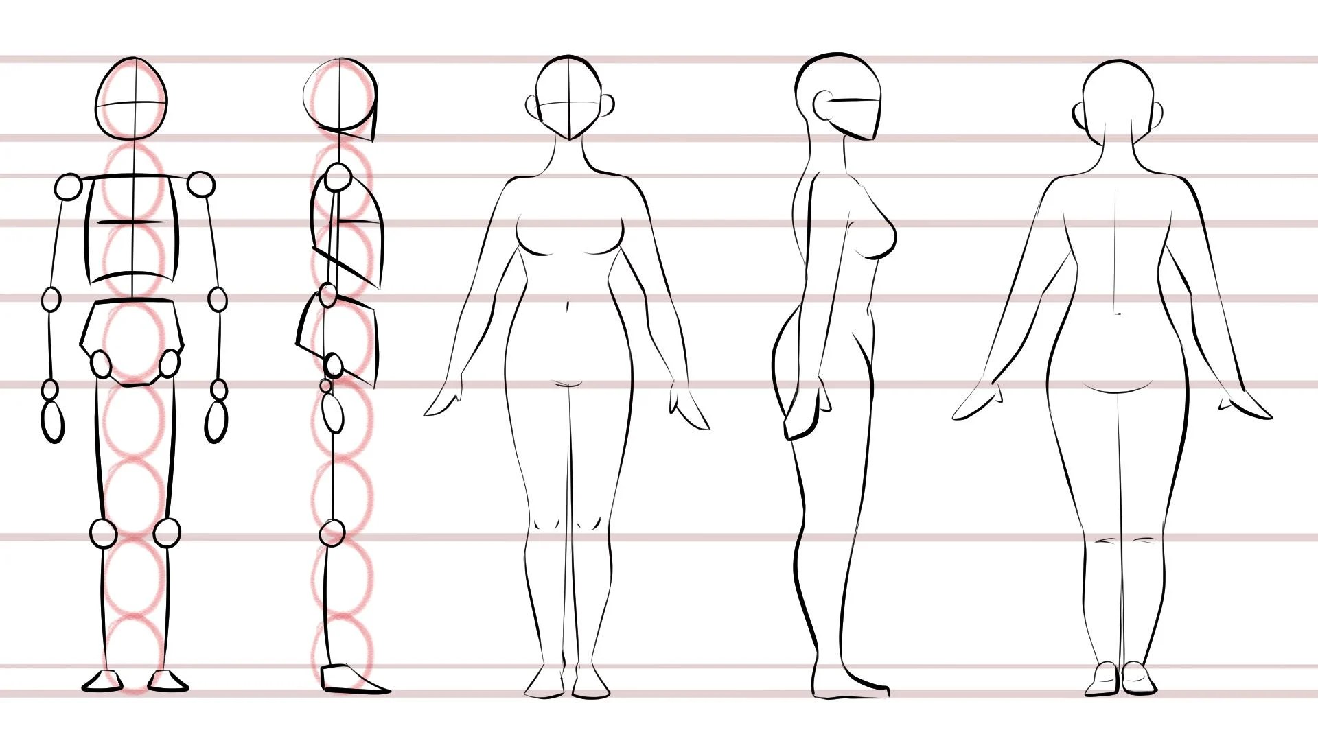 How to Draw a Female Body (with Pictures) wikiHow