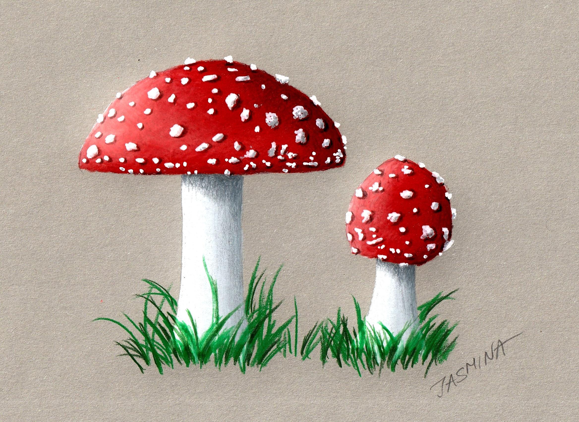 How to Draw on Grey Paper with Colored Pencils Jasmina Susak Skillshare