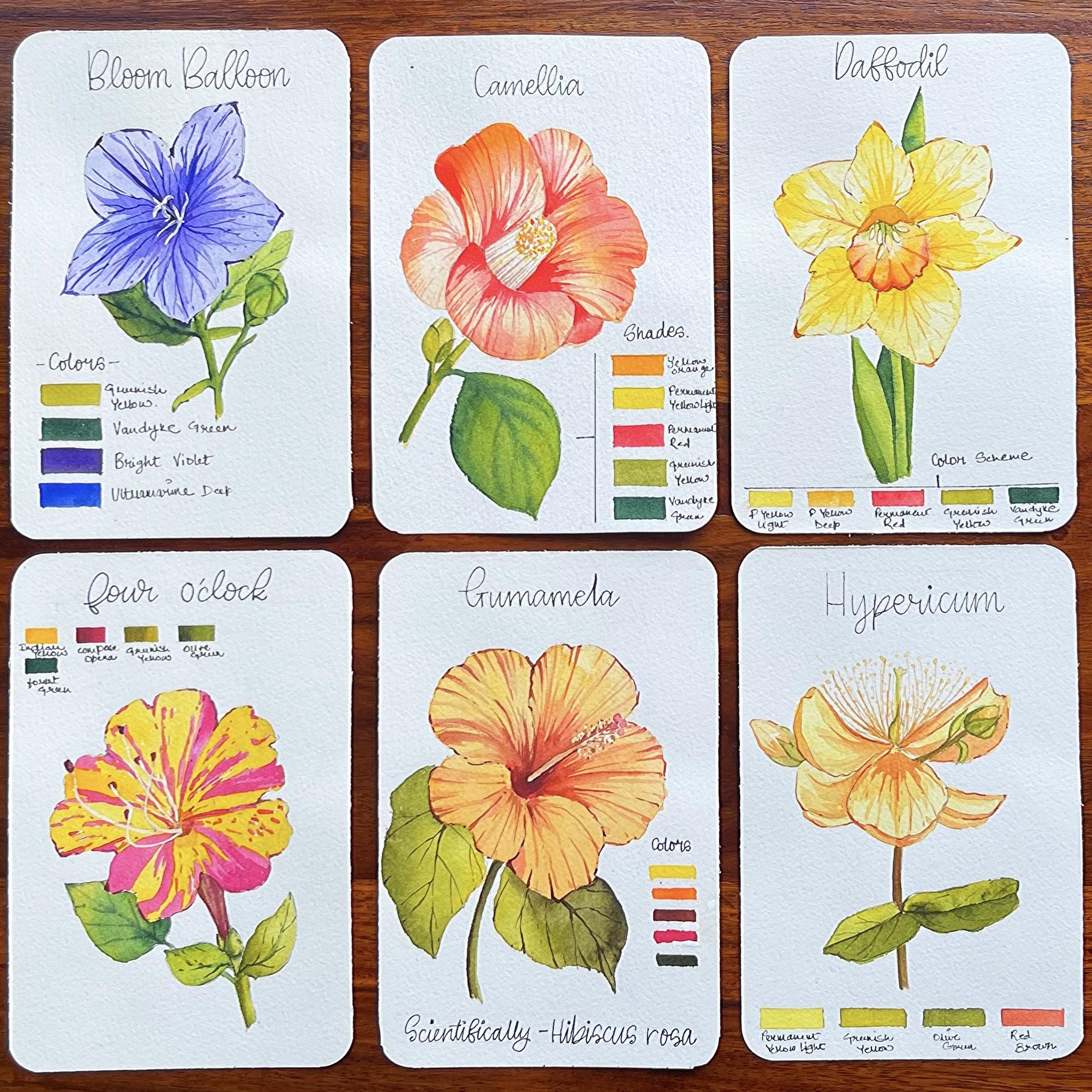 A to Z of Flowers A Watercolor Floral Masterclass for Beginners