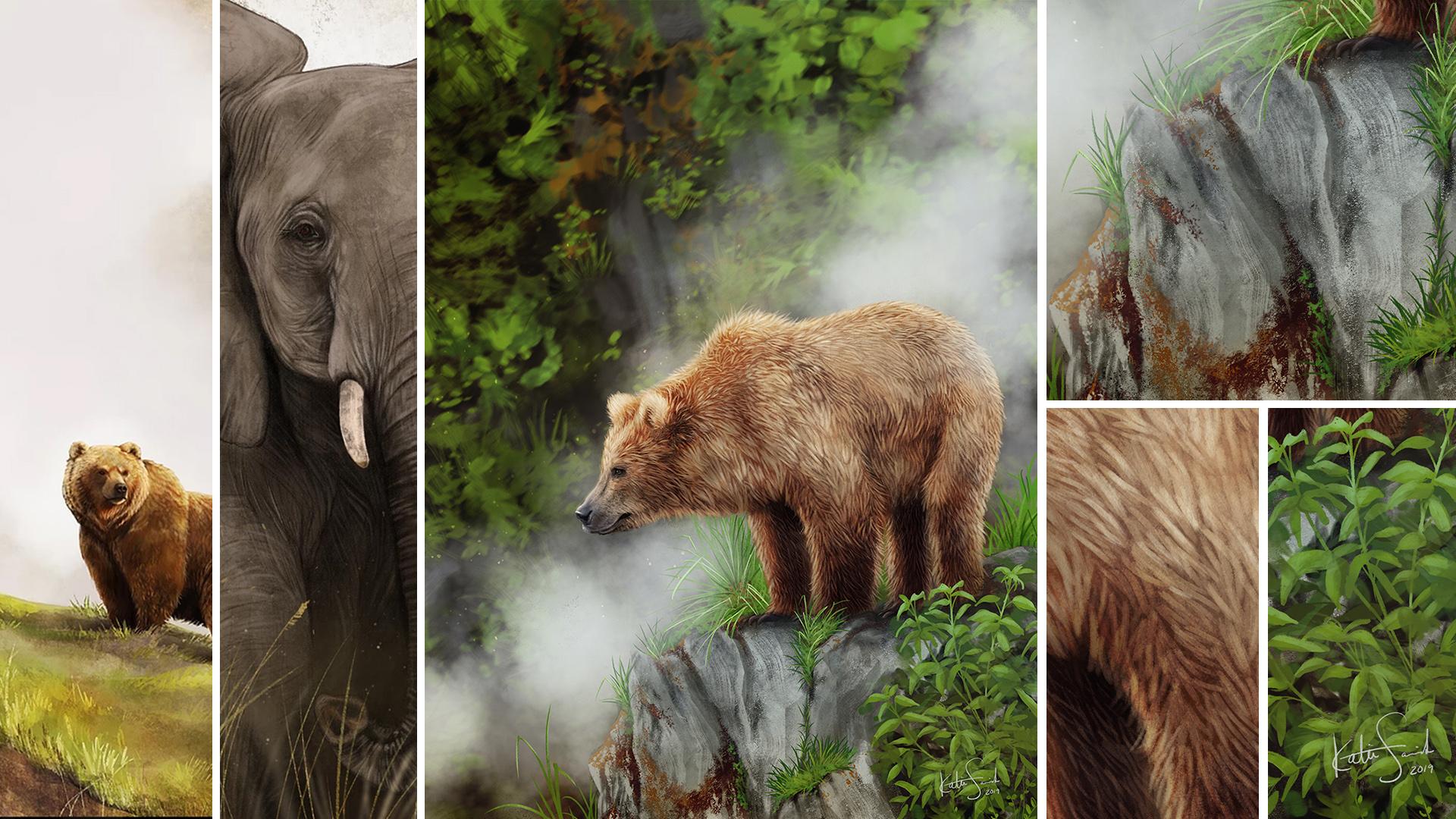 Digital Painting Paint a Bear in Katie Krell Skillshare