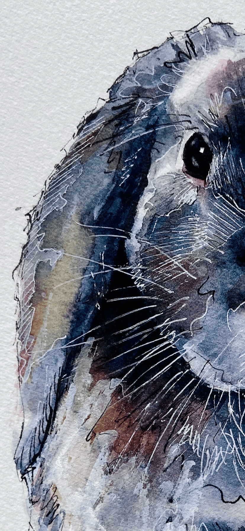 Painting A Loose Watercolour Hare Sarah Stokes Skillshare
