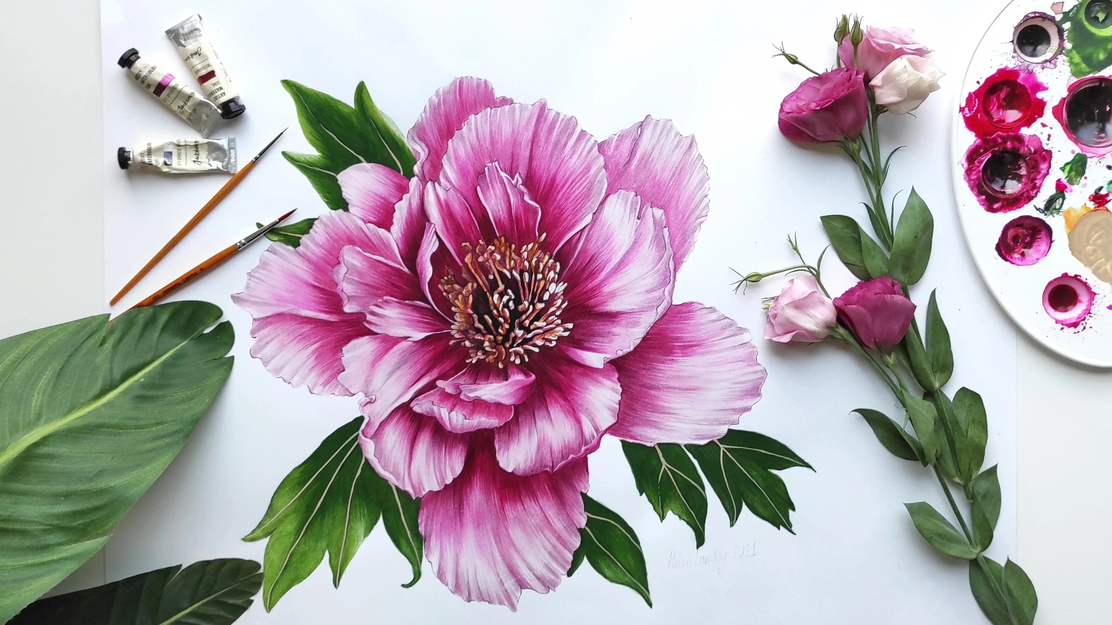 Botanical Flower Art In Watercolor How to Paint a Realistic Peony