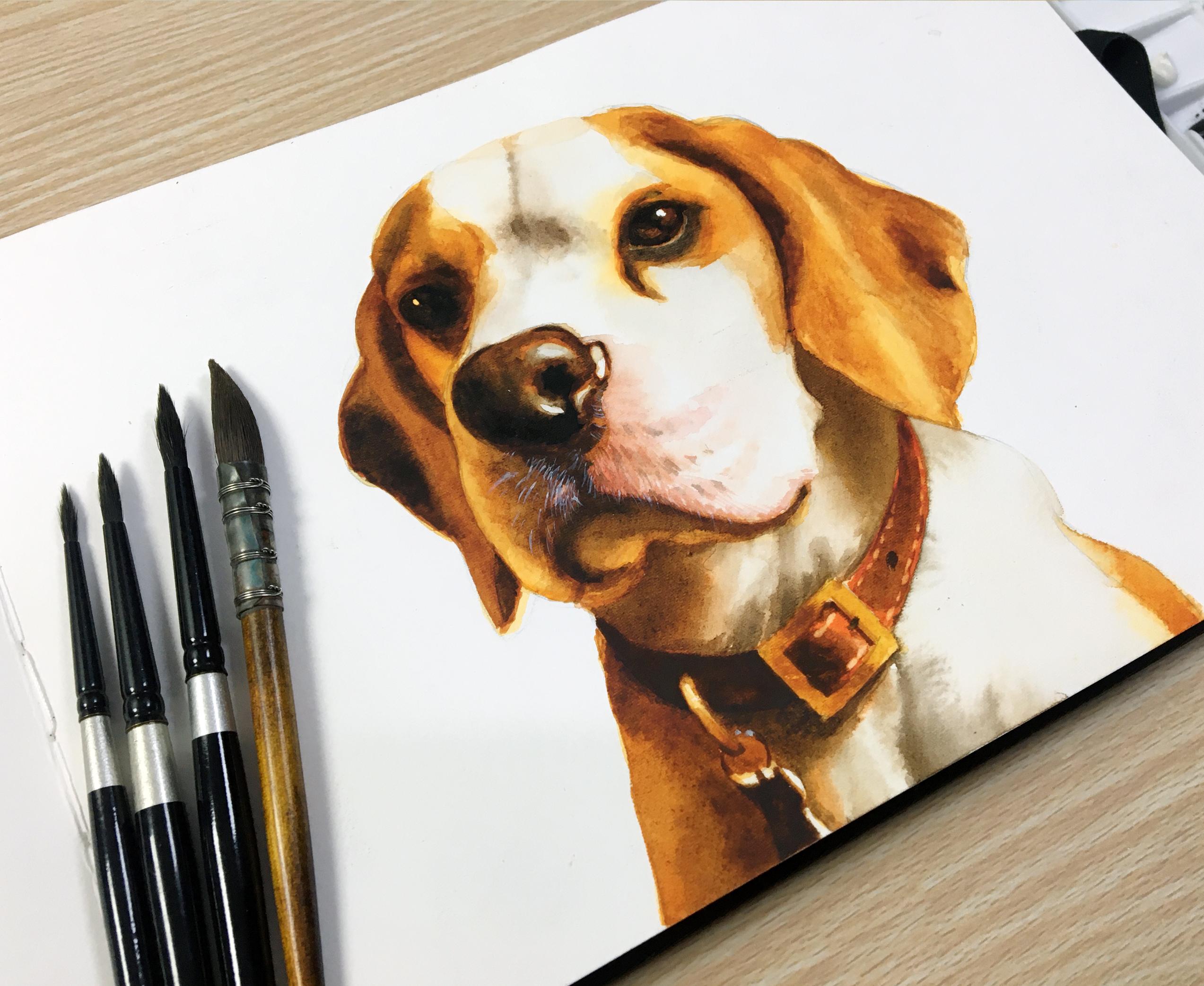Realistic Watercolor Animal Paintings