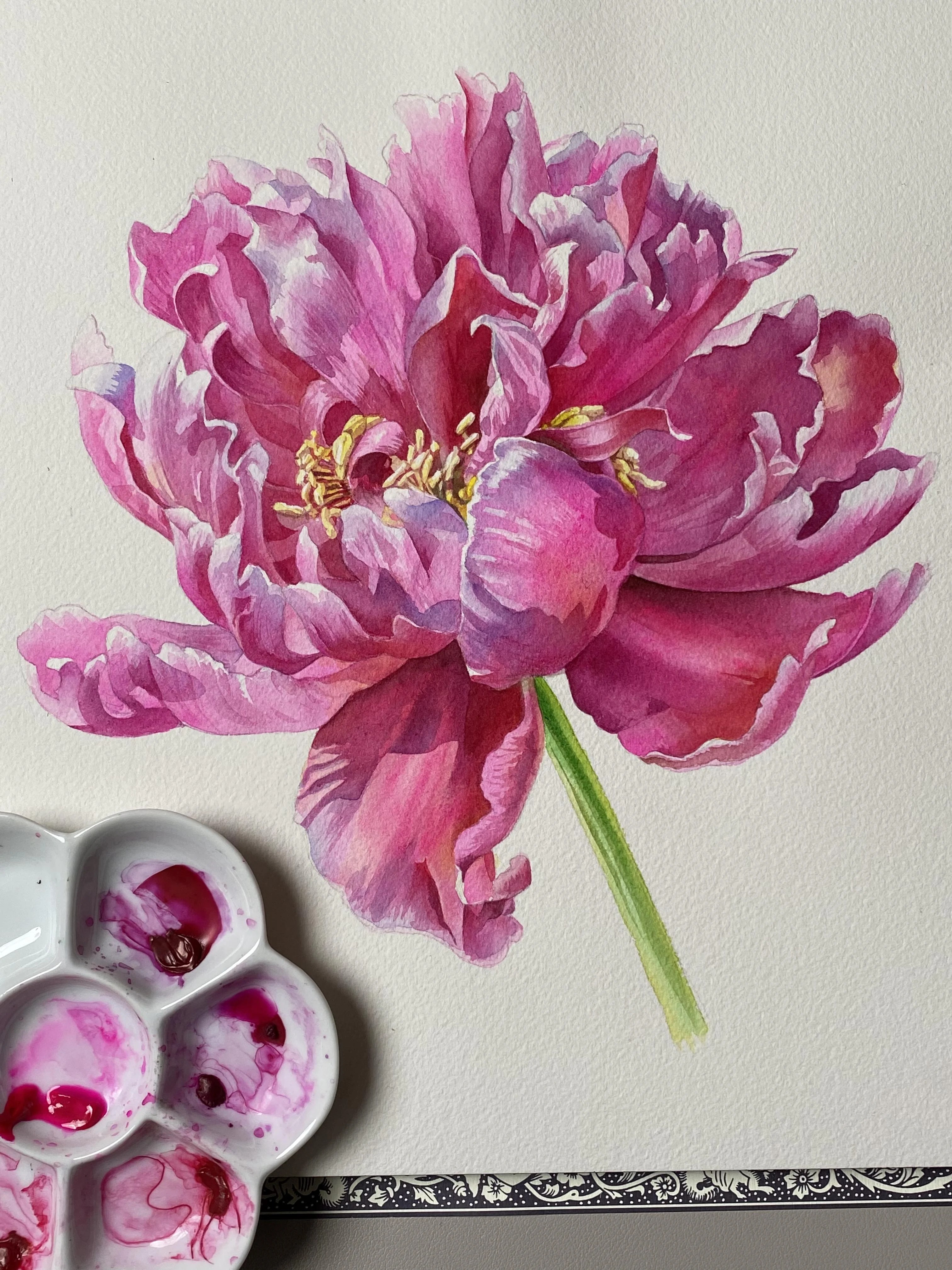 Watercolor Peony Pro Techniques Explained Anna Bucciarelli Skillshare