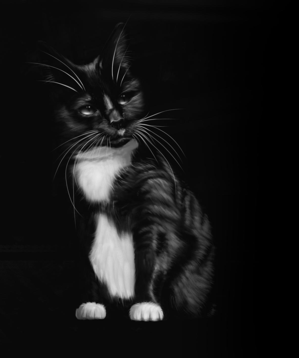 Mastering contrasts, animal portraits in black and white (digital painting) Tessa Geniets