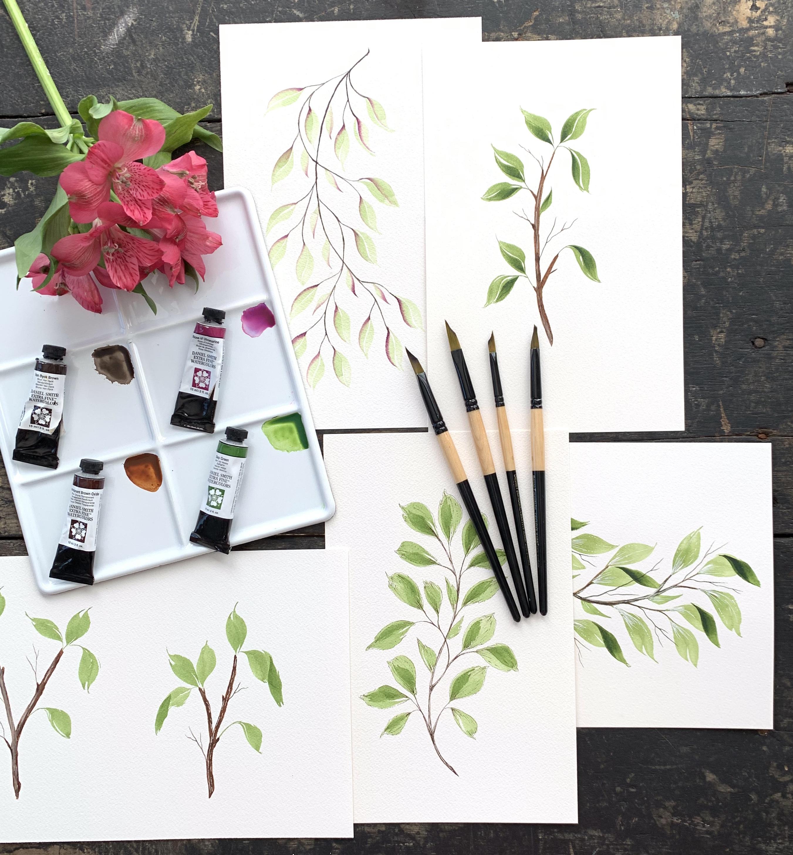 Watercolor and the wedge brush Jen Sweeney Skillshare