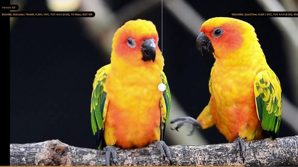 Learn these Ai tools and change your video making techniques like a Pro. Yao Geker Skillshare