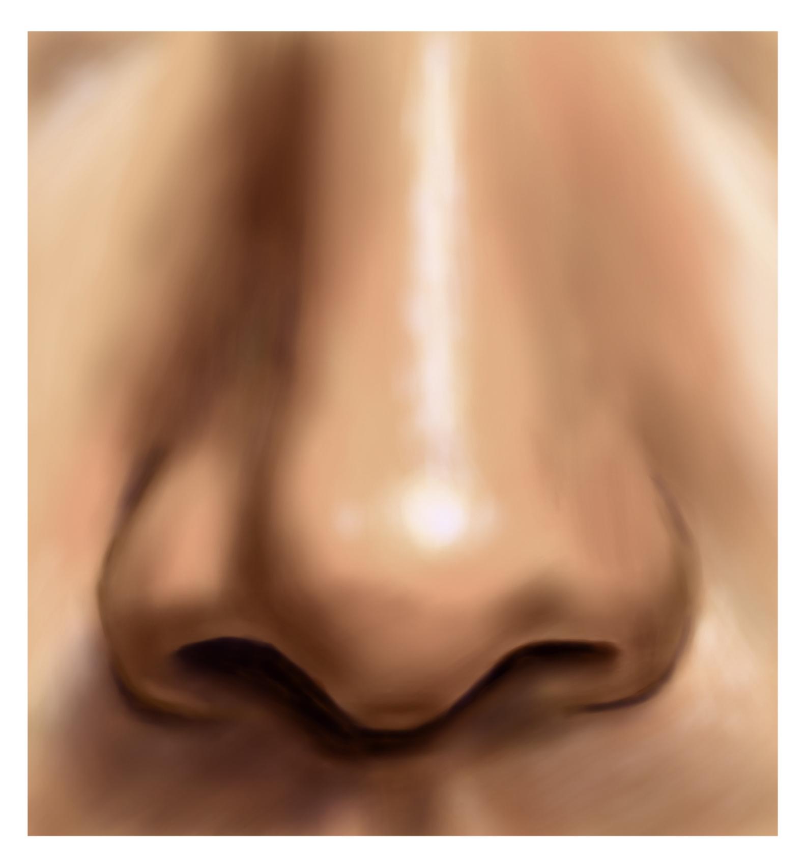 Procreate How to Draw Noses From Sketch to Finished Digital Painting Celine D. Skillshare