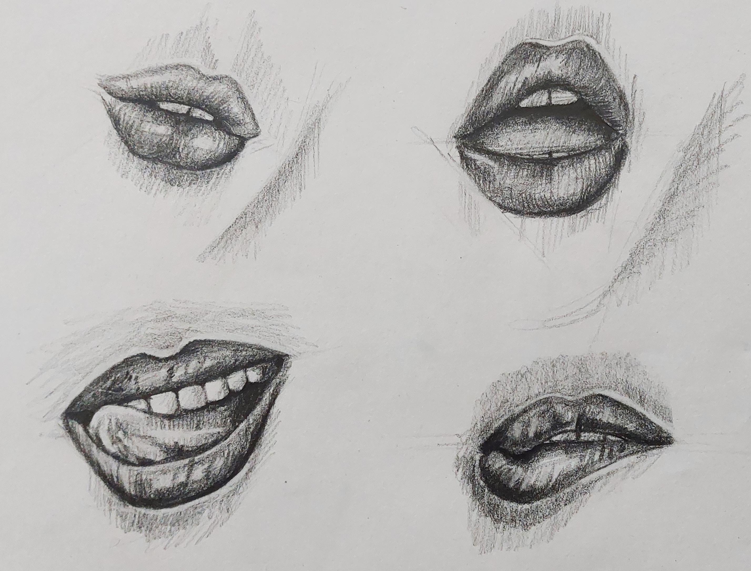 Face Drawing Course from Beginner to Intermediate Amelie Braun