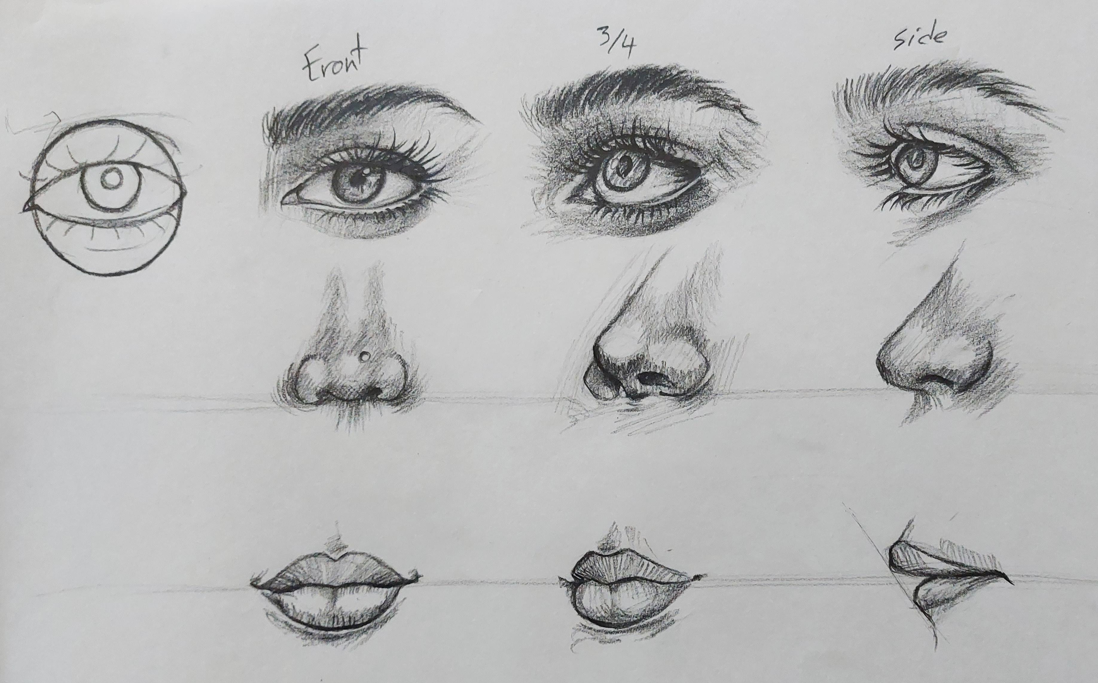 Face Drawing Course from Beginner to Intermediate Amelie Braun