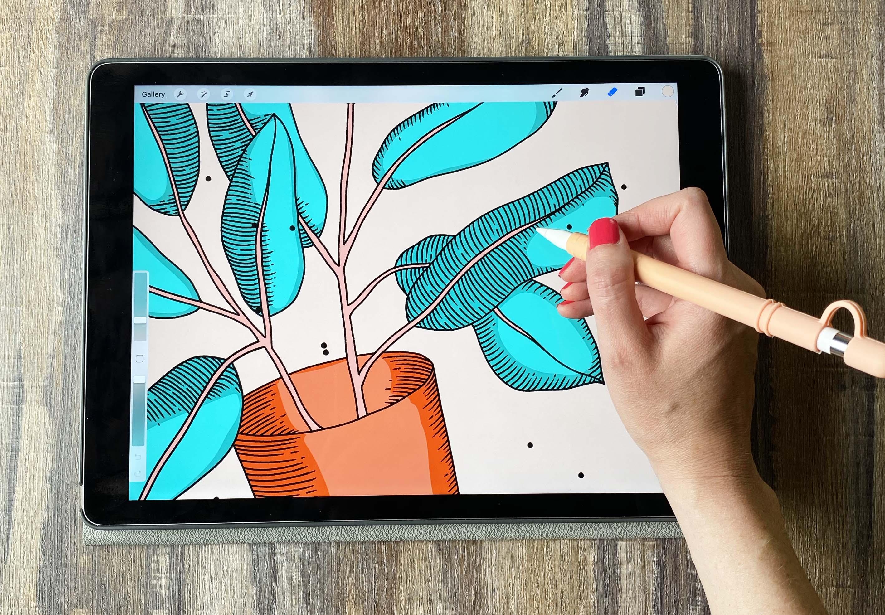 Ink Illustration Techniques in Procreate Liz Kohler Brown Skillshare