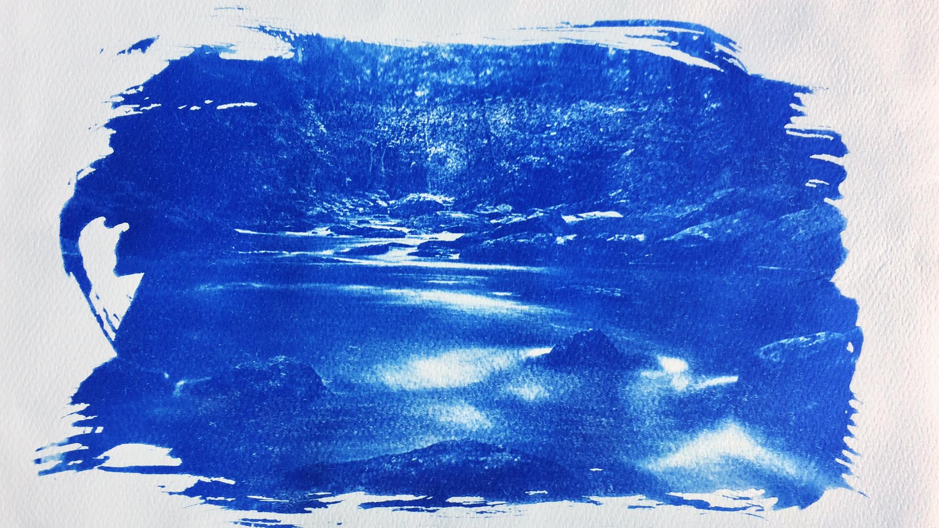 Cyanotype Photography 103 Printing from a digital negative Ben