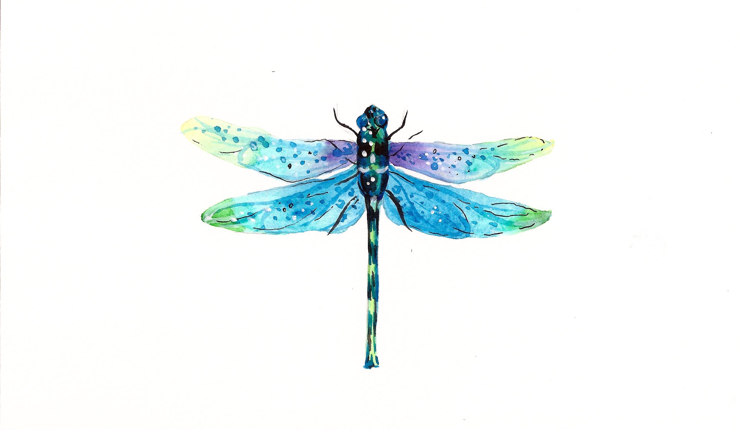 Watercolor Dragonfly Easy and Fun Watercolor Project Irina Trzaskos