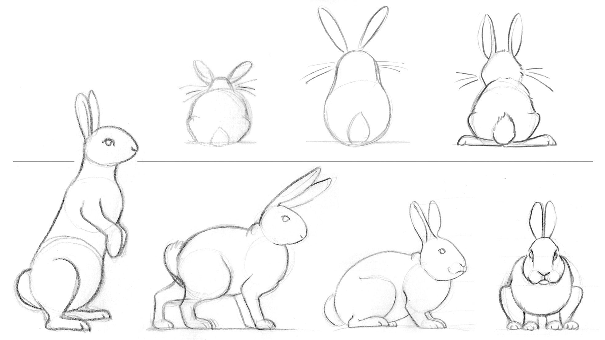 The Art of Bunnies in Books an Easter Illustration