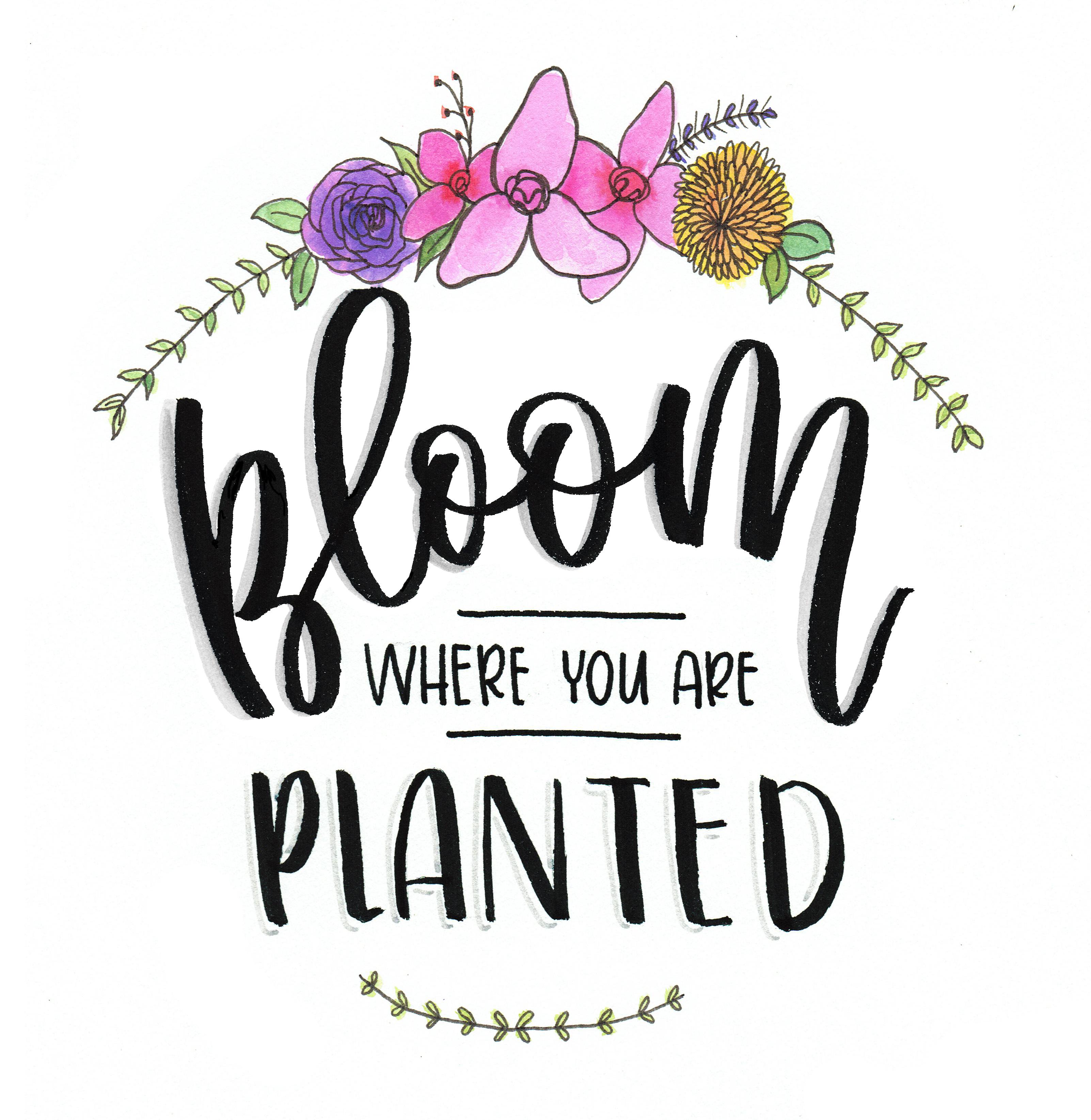 List 100+ Pictures Quotes About Blooming Where You Are Planted Stunning