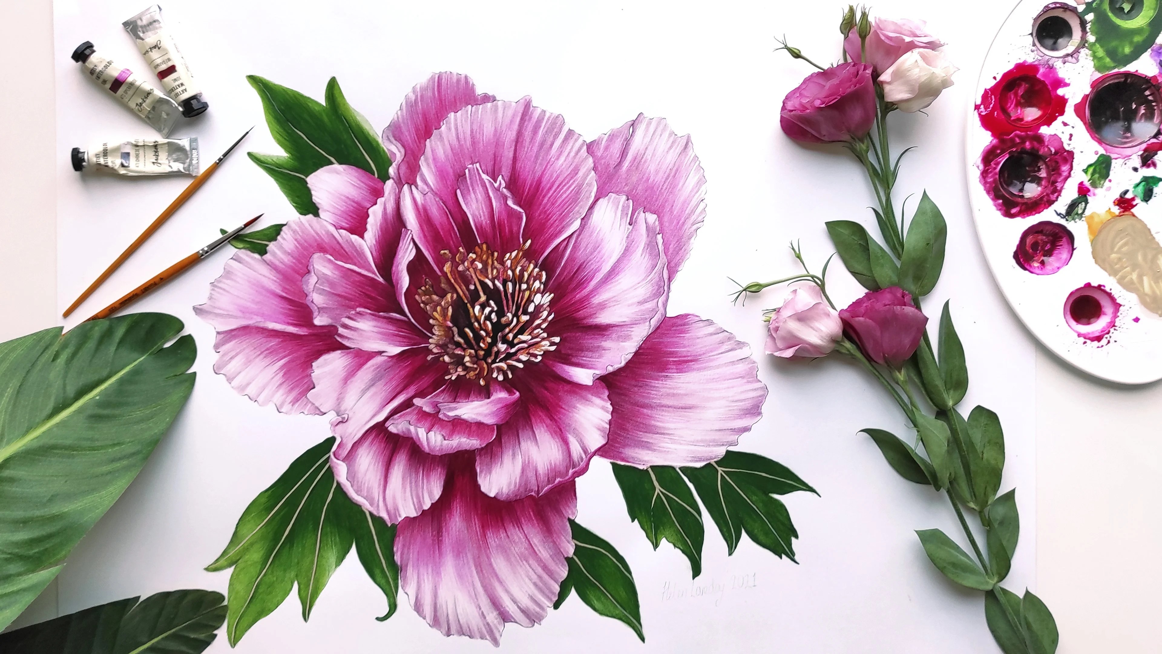 Botanical Flower Art In Watercolor How to Paint a Realistic Peony