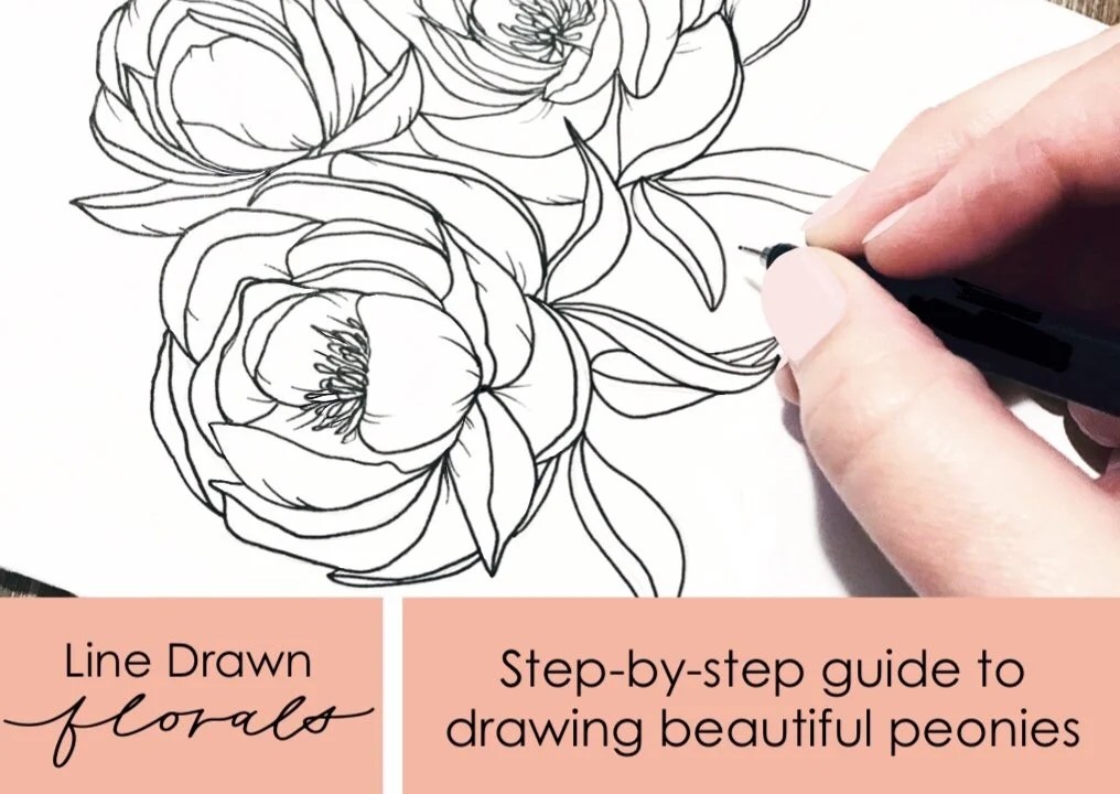 Line Drawn Florals Stepbystep guide to drawing beautiful peonies