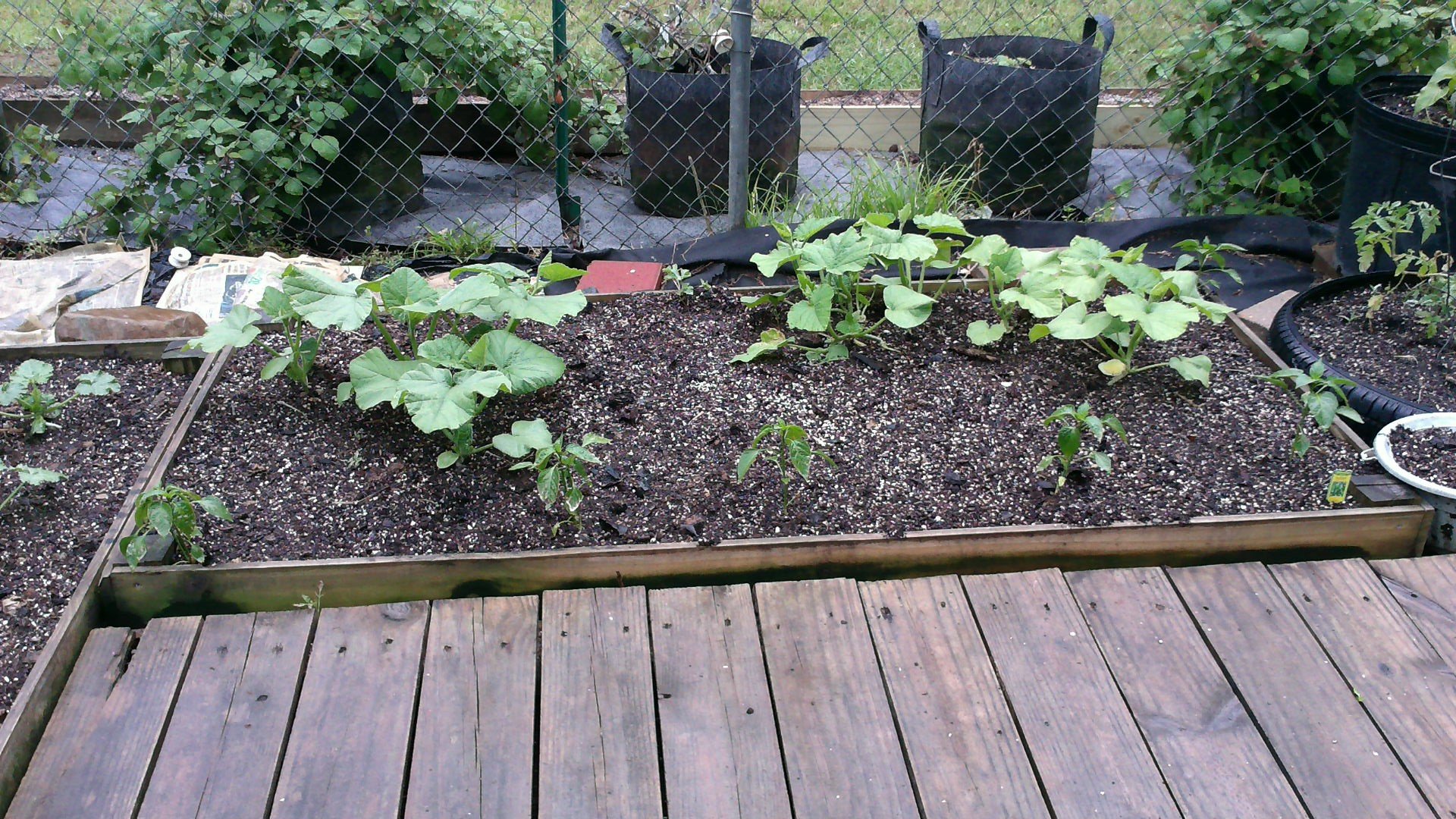 Beginner's Guide to Buiding Your Own Raised Bed Garden Container Doug