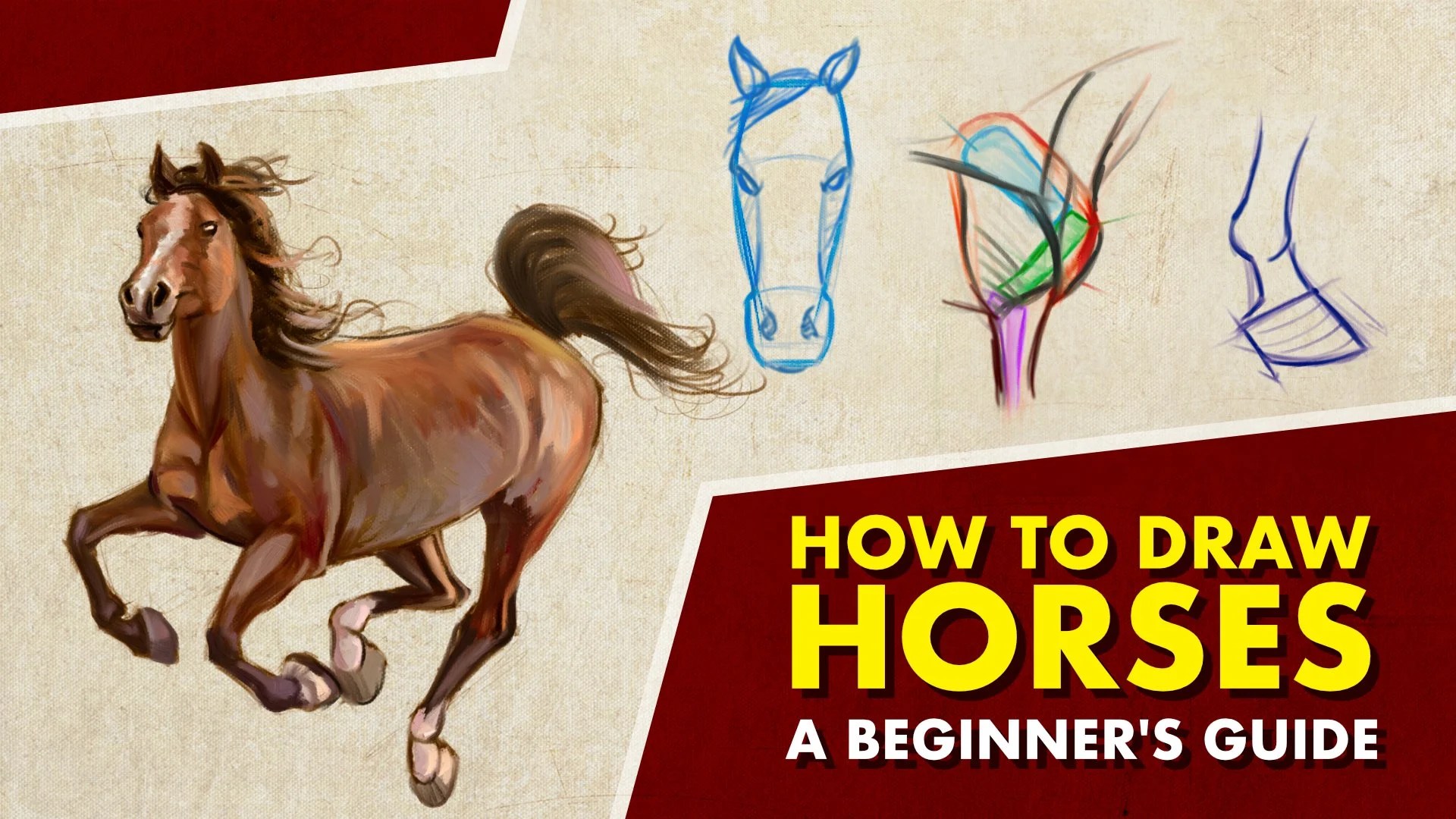 How To Draw Horses A Beginner's Guide JW Learning Skillshare