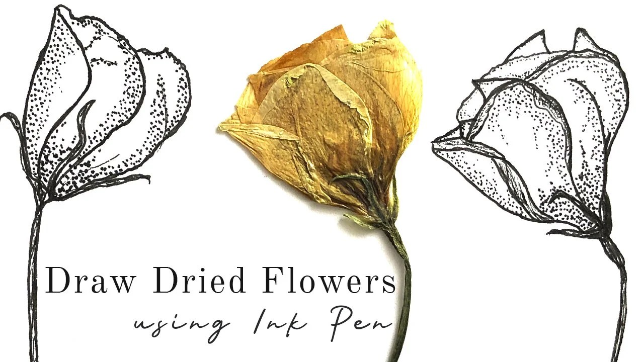 Draw Dried Flowers using Ink Pen Marina P. Skillshare