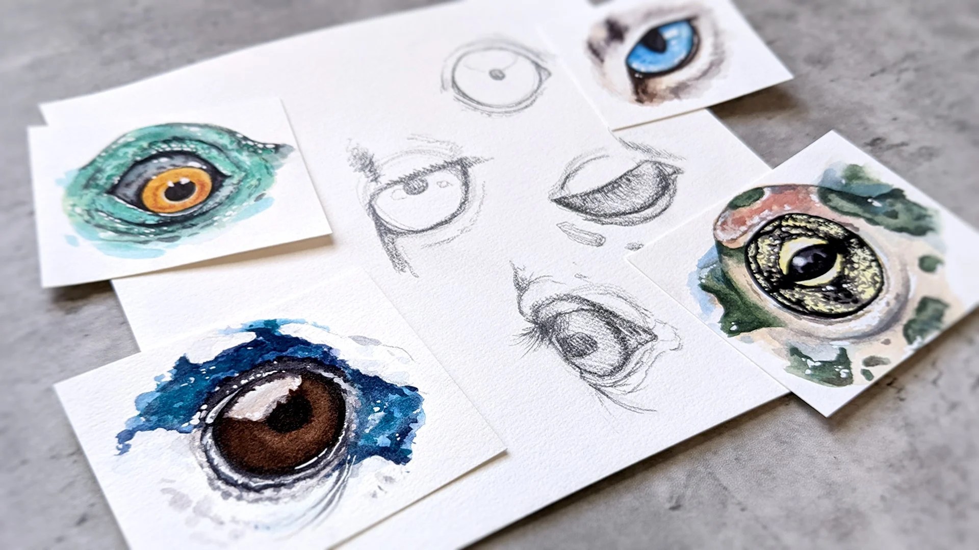 How to Draw & Paint Animal Eyes in Watercolor Denise Soden Skillshare