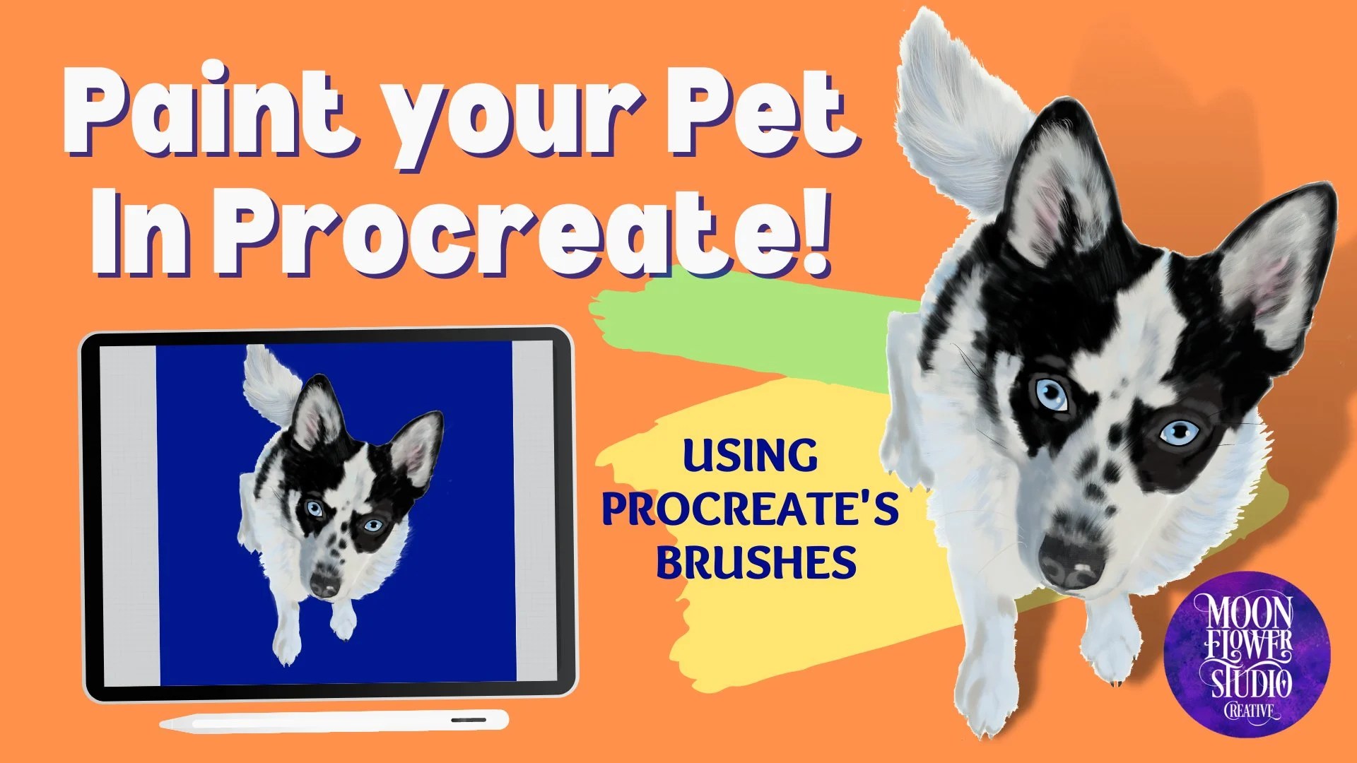 Paint your Pet in Procreate Karen Ciocca Skillshare