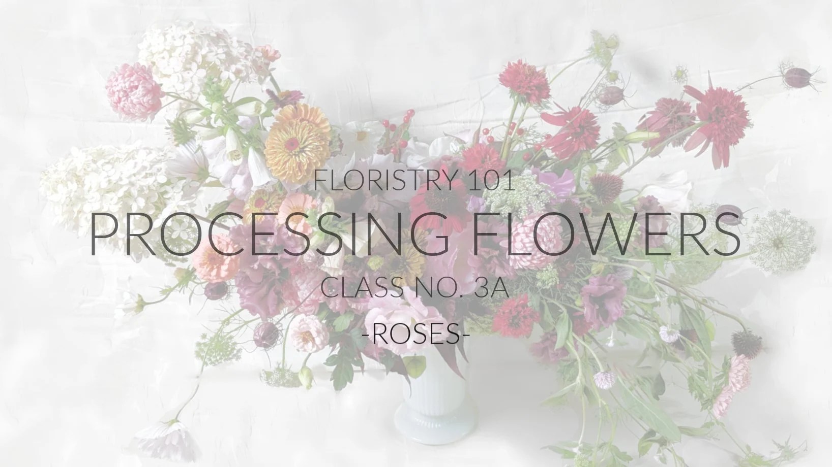 Floristry 101 Processing Flowers (class no. 3a roses) Deb