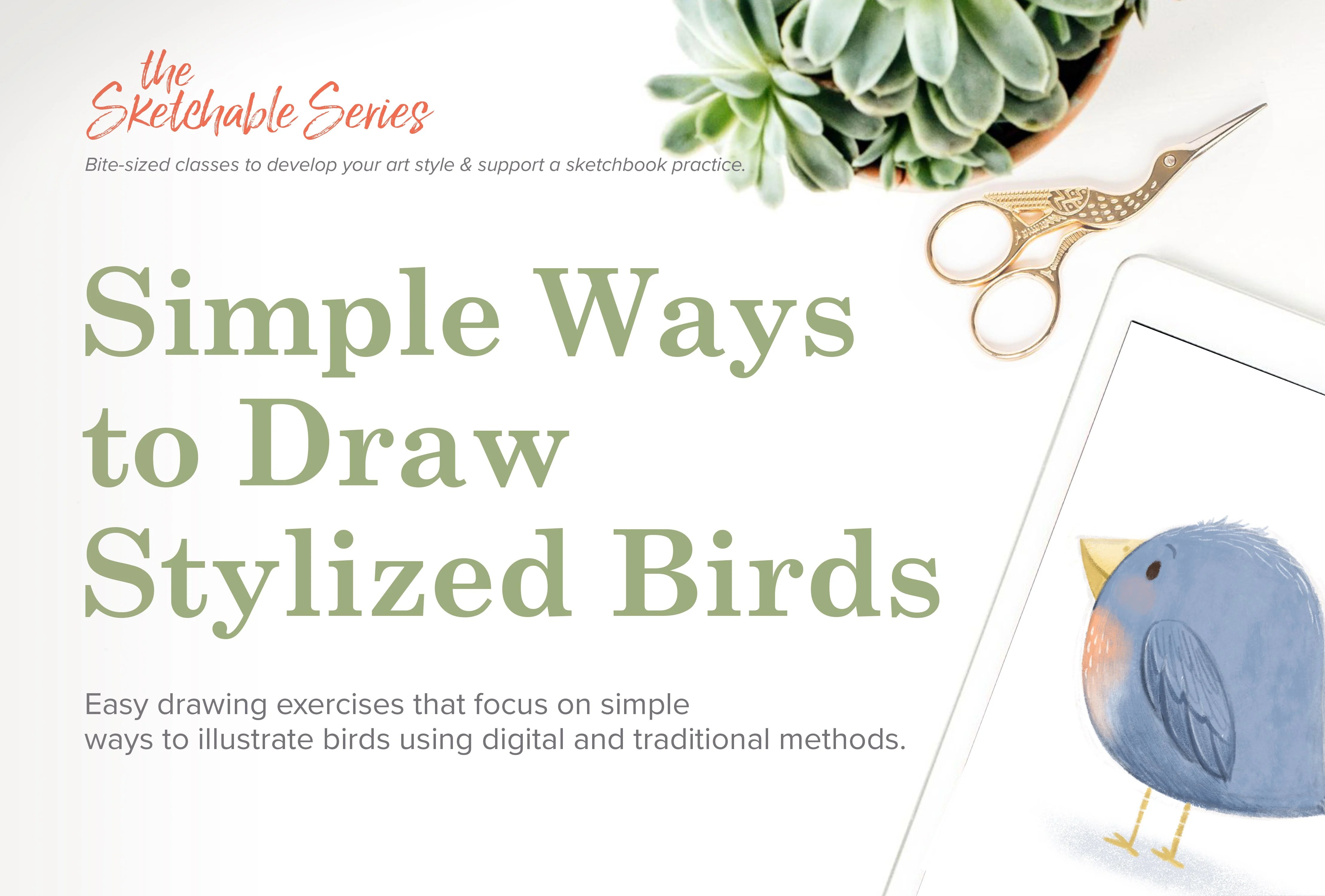 Simple Ways to Draw Stylized Birds Lisa Griffin Skillshare