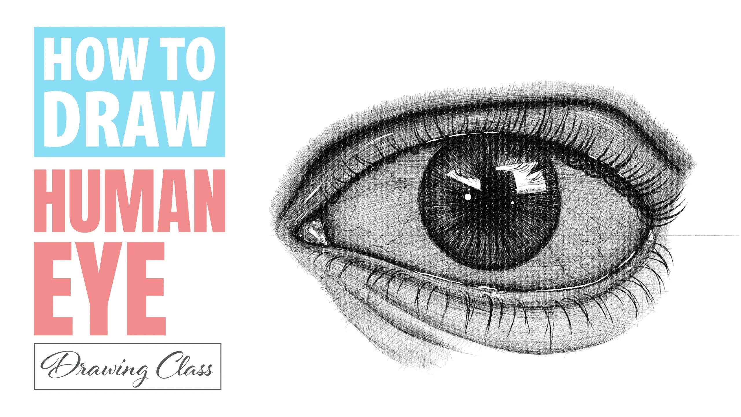 Human Eye Drawing Tutorial