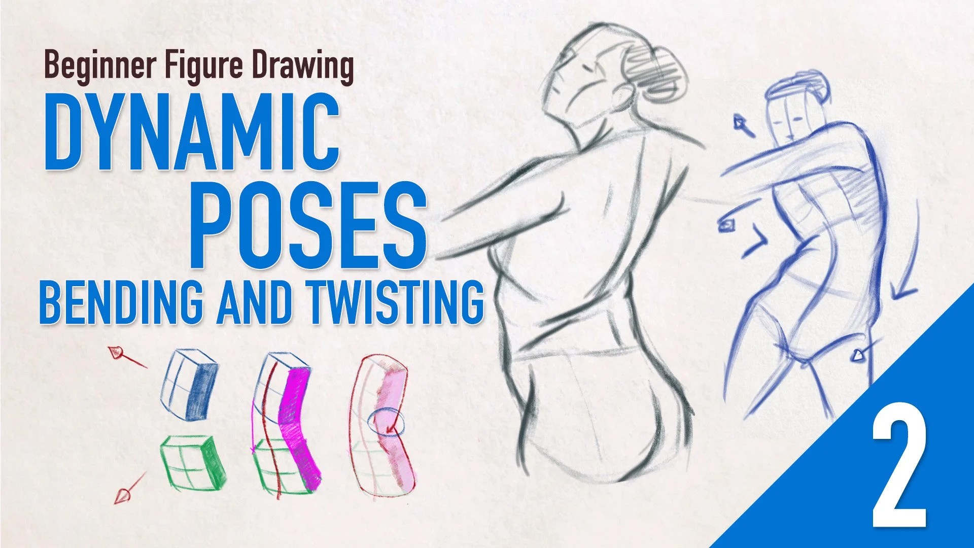 Beginner Figure Drawing Fundamentals Dynamic Poses, Bending and