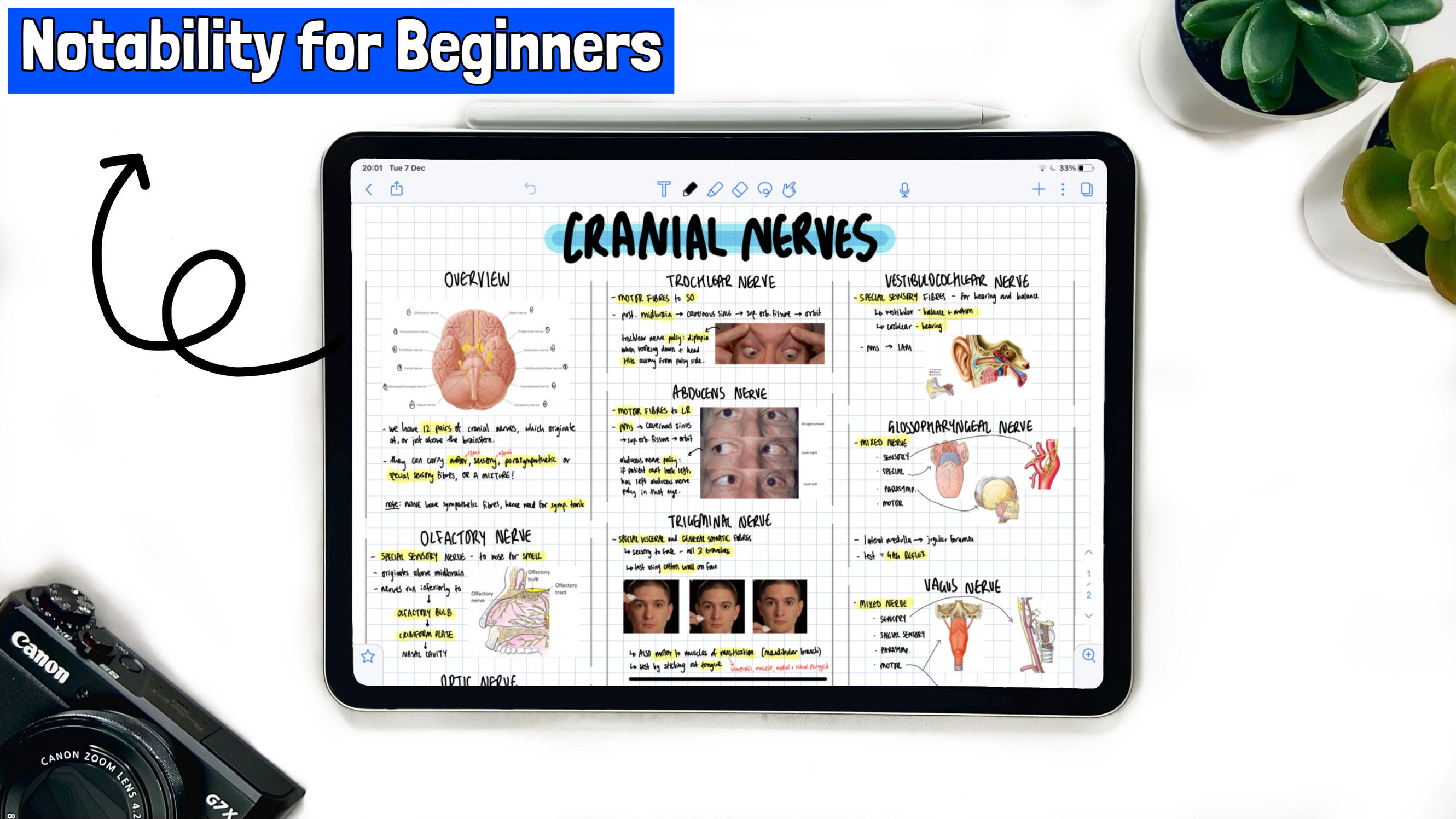 How to use Notability Step by Step Guide To Making Digital Notes