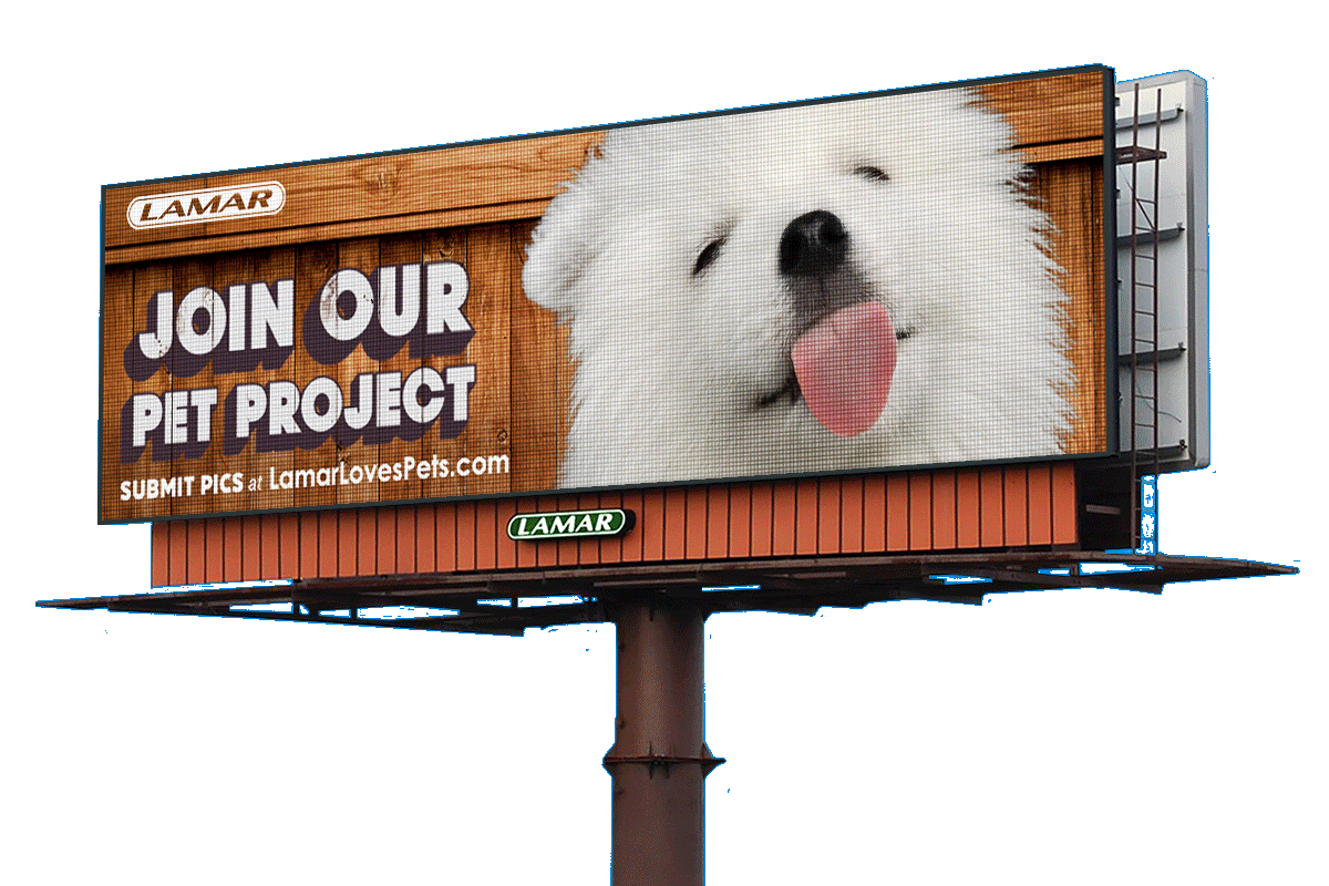 Customize Billboard Design Of Your Pet Displayed on Lamar Digital