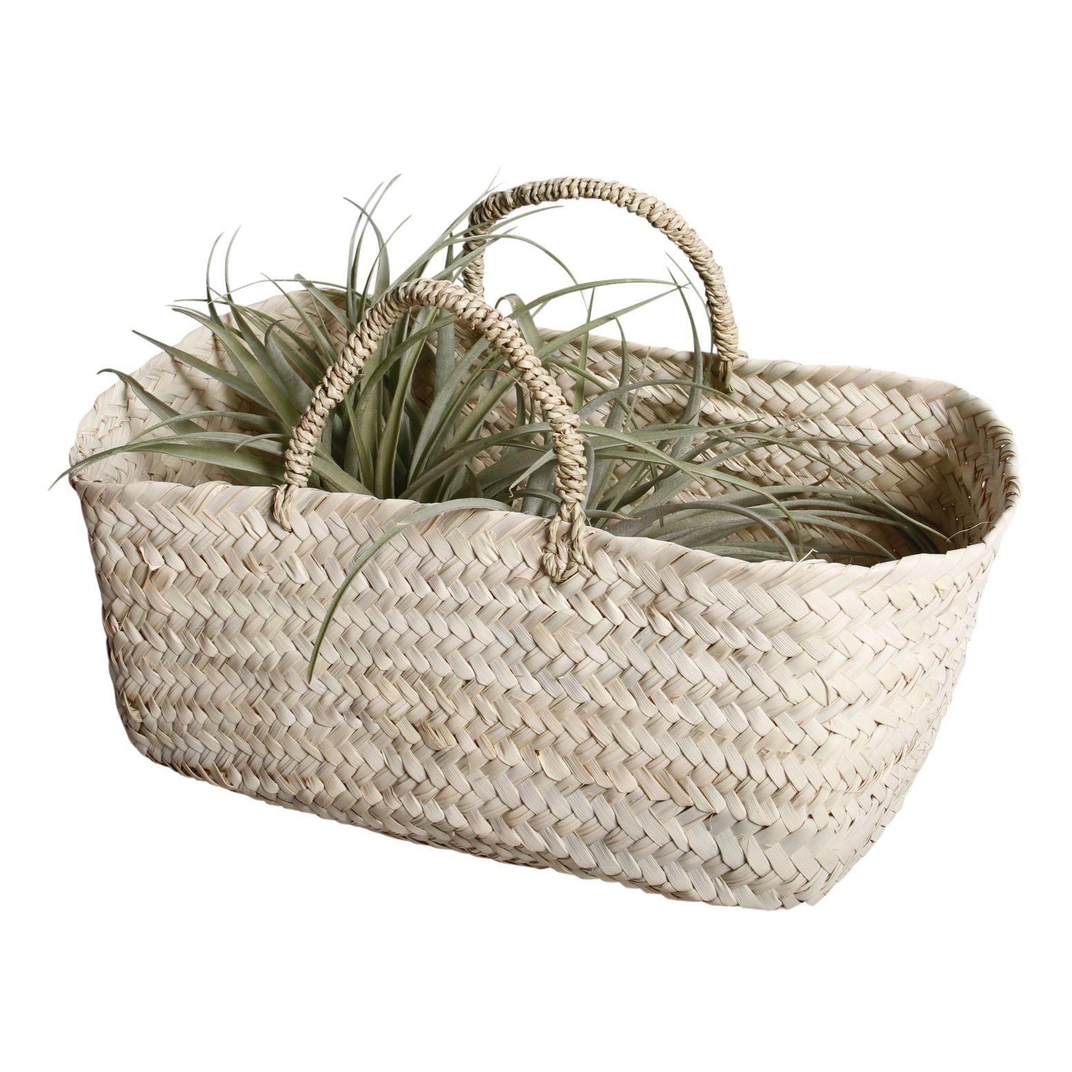 Basket in palm leaf Cosydar Design Adult