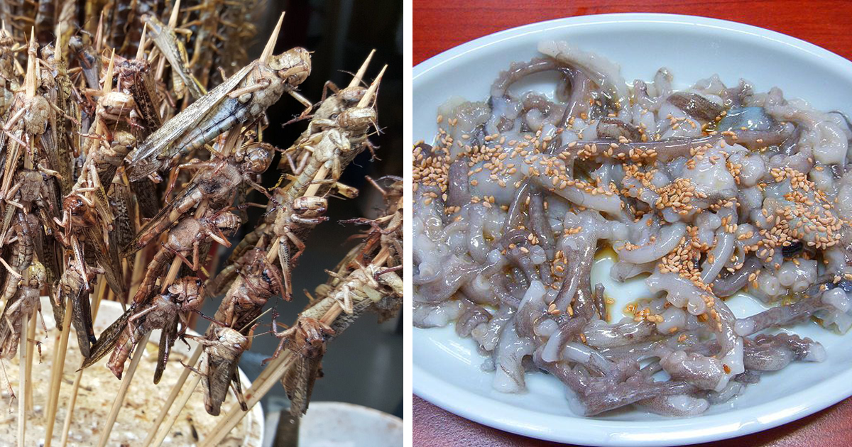 Las 12 comidas más extrañas e impactantes del mundo Va a gustarme