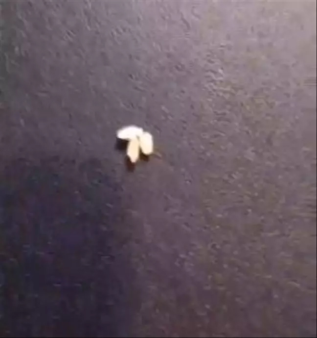 A Guy Showed Just How Much Jeff Bezos Is Worth Using Grains Of Rice