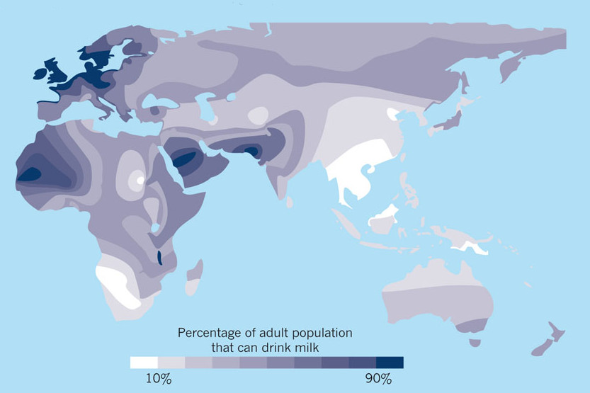 Neolithische Revolution Die MilchRevolution Spektrum der Wissenschaft