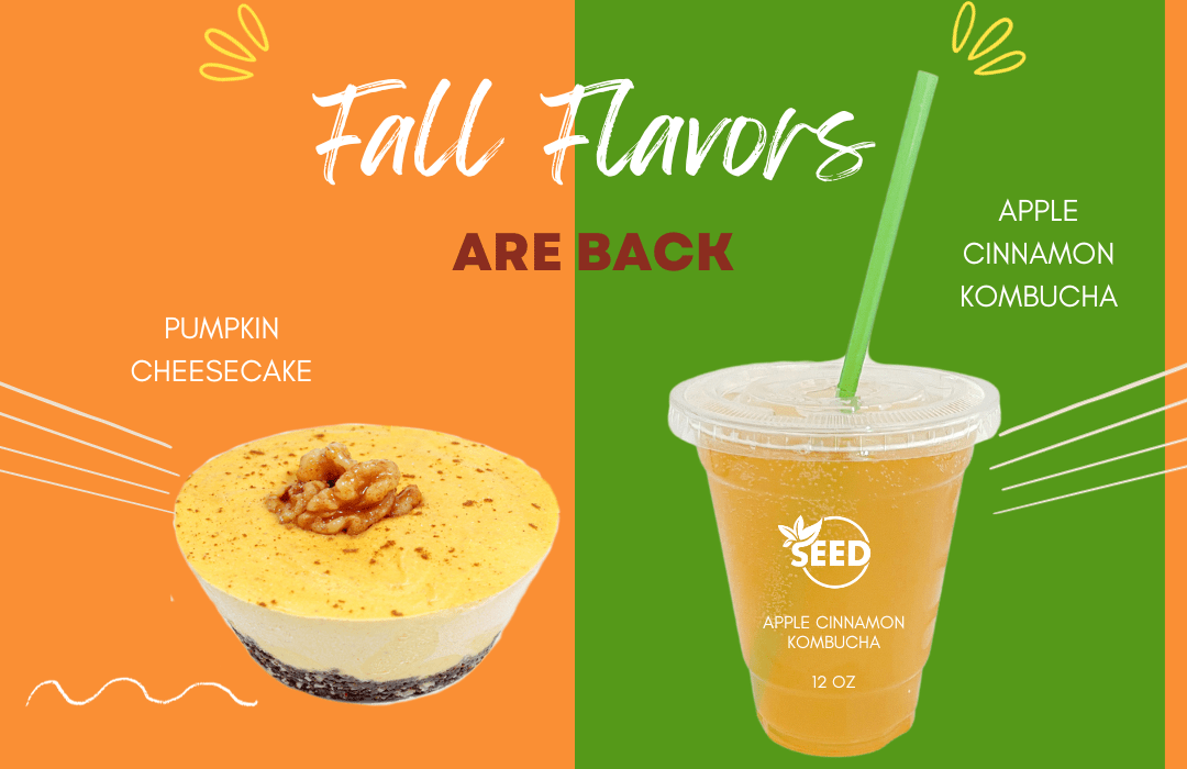 Best Restaurant in Rehoboth Beach Vegan Gluten Free Healthy