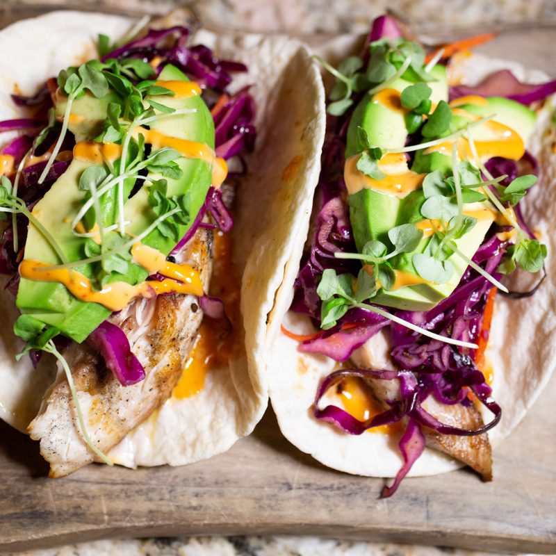 Crompton Ale House Chelsea, New York , NY