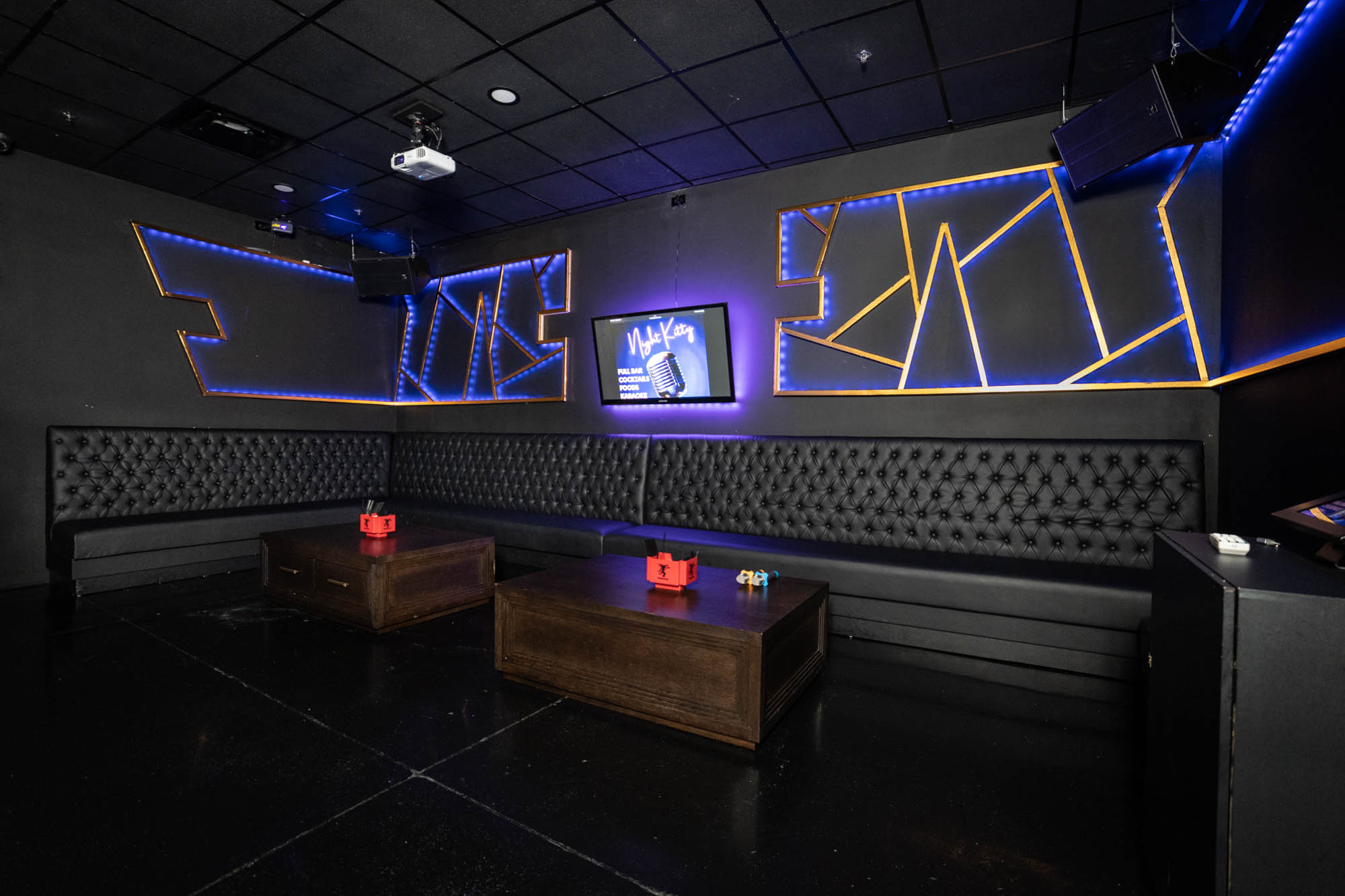 Night Kitty Karaoke Bar Lexington, KY