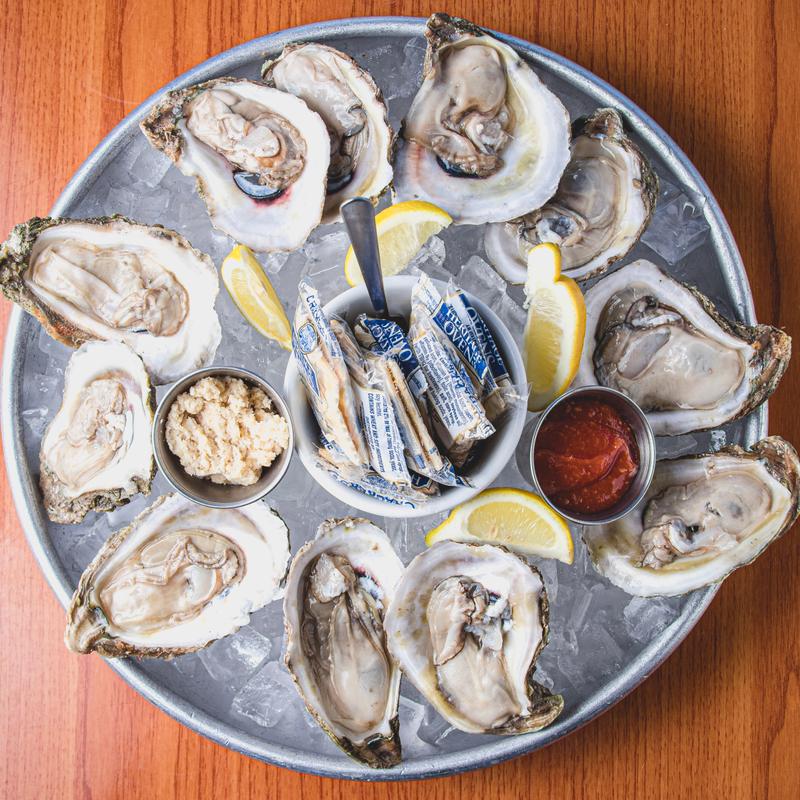 Fresh shells on the ice