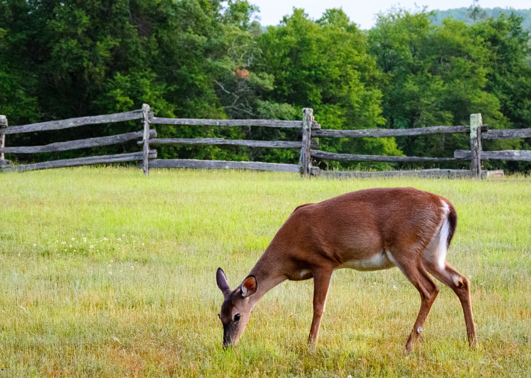 Warmest Decembers in King and Queen County, Virginia History Stacker