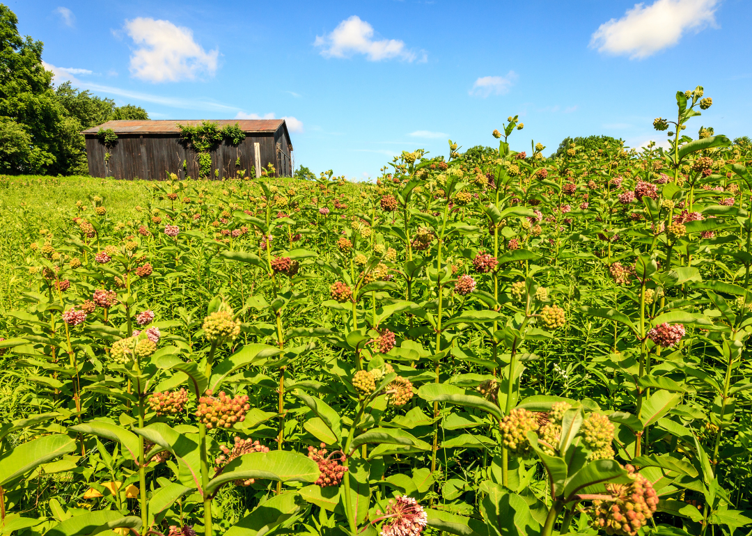 Warmest and Coldest Februaries in Menifee County, Kentucky History