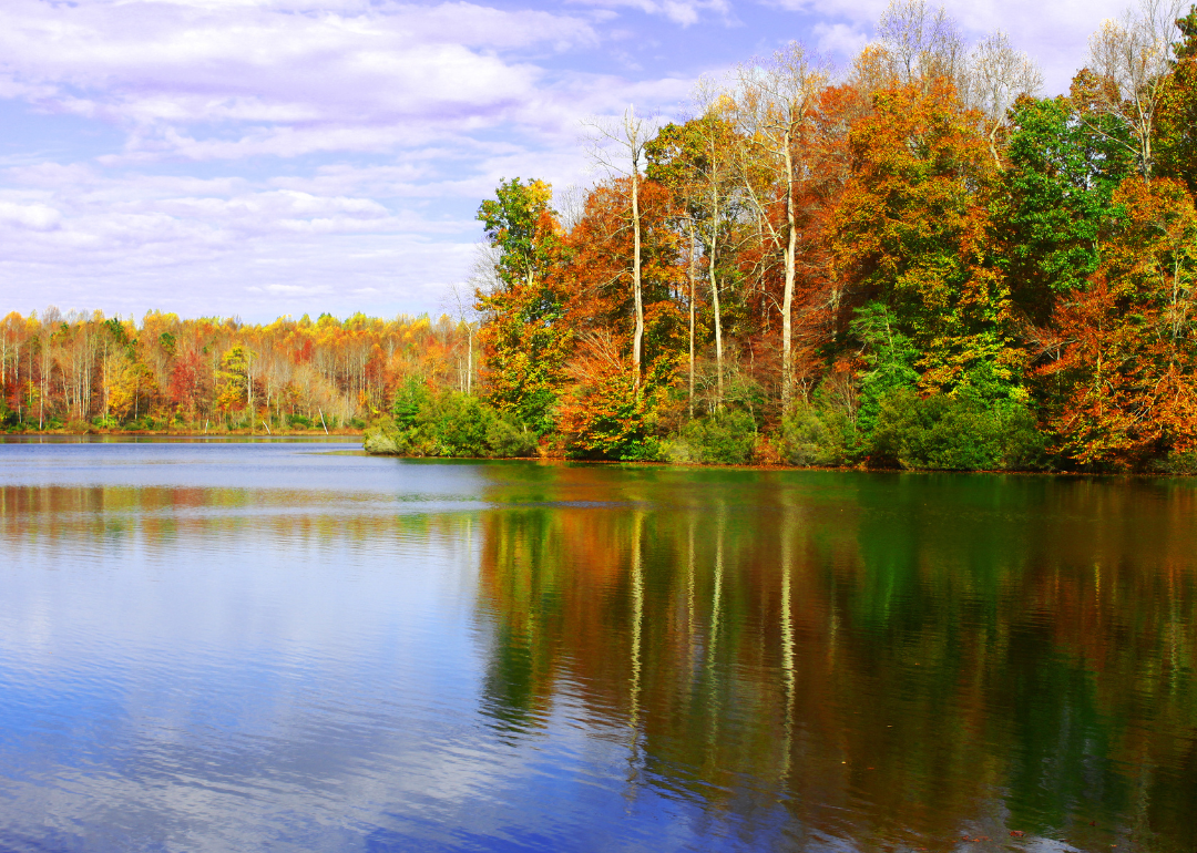 Warmest Decembers in Gloucester County, Virginia History Stacker