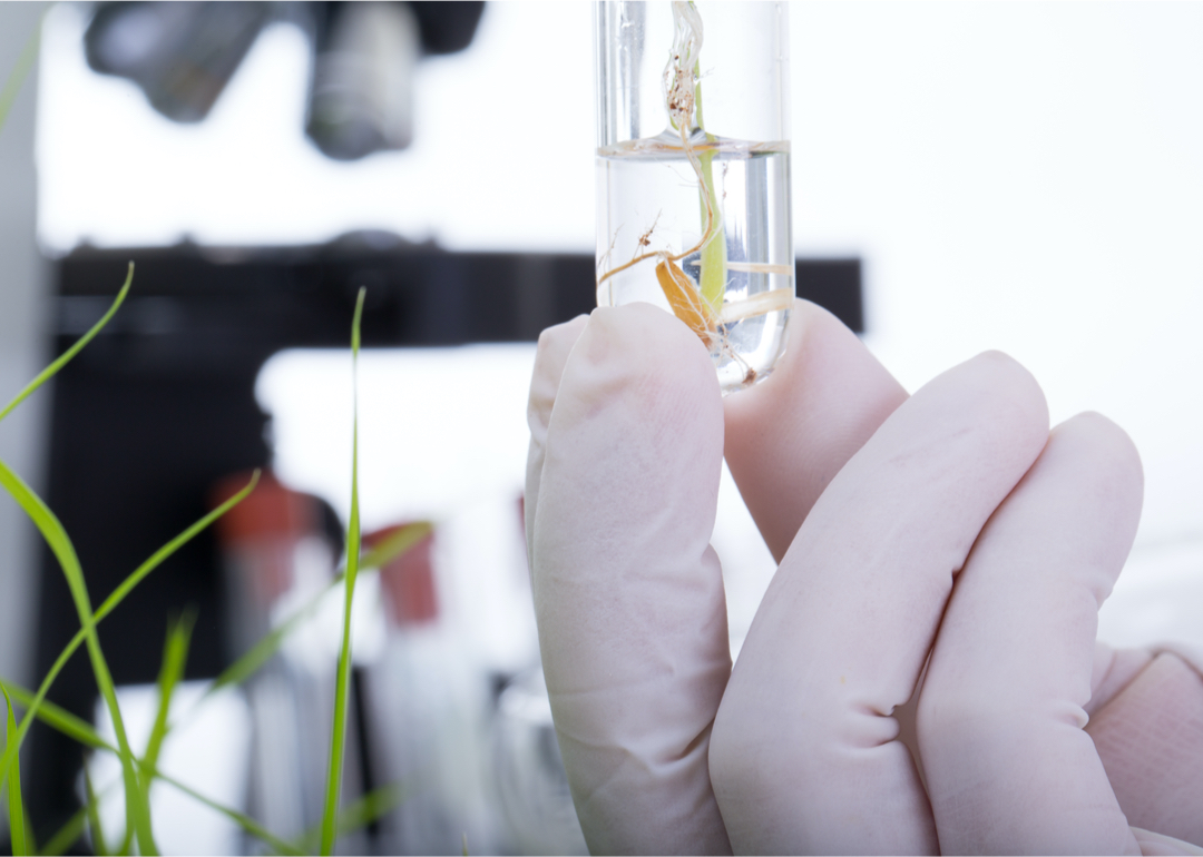 Highestpaying Science Jobs in Salinas Stacker